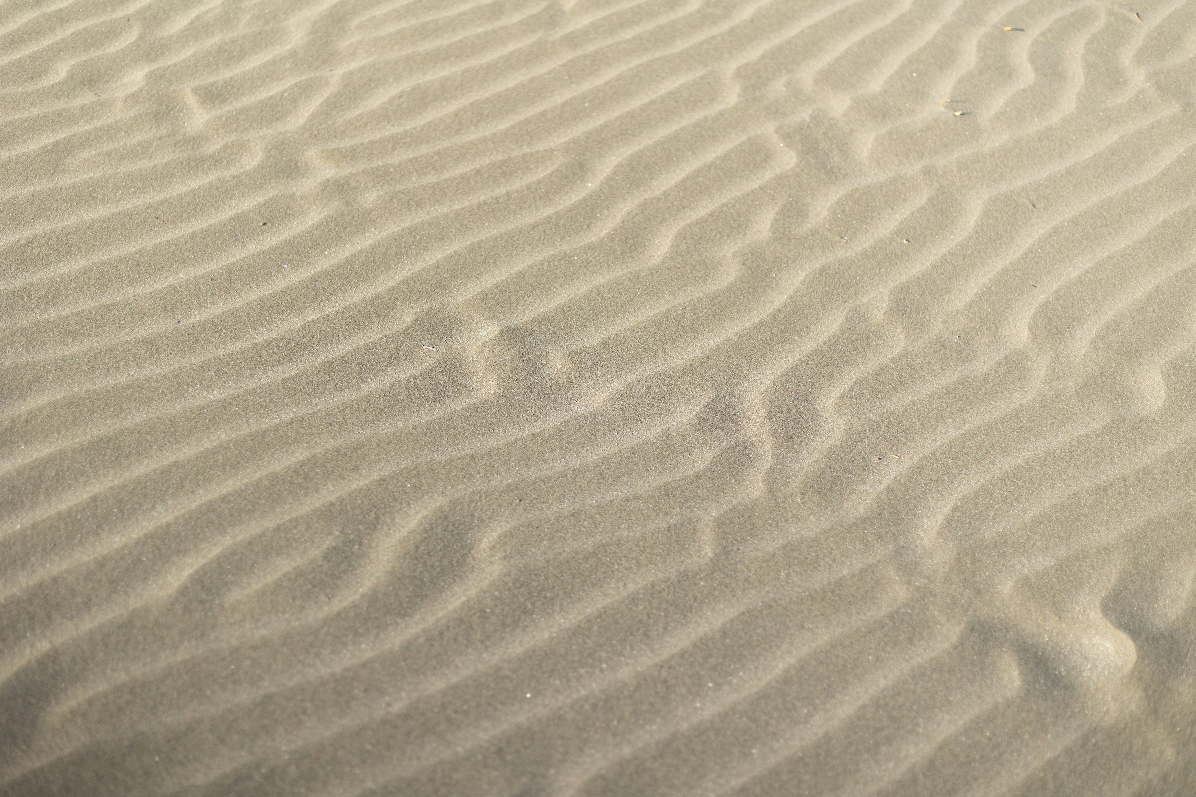 Schöne Sandmuster in einer Wüstenlandschaft