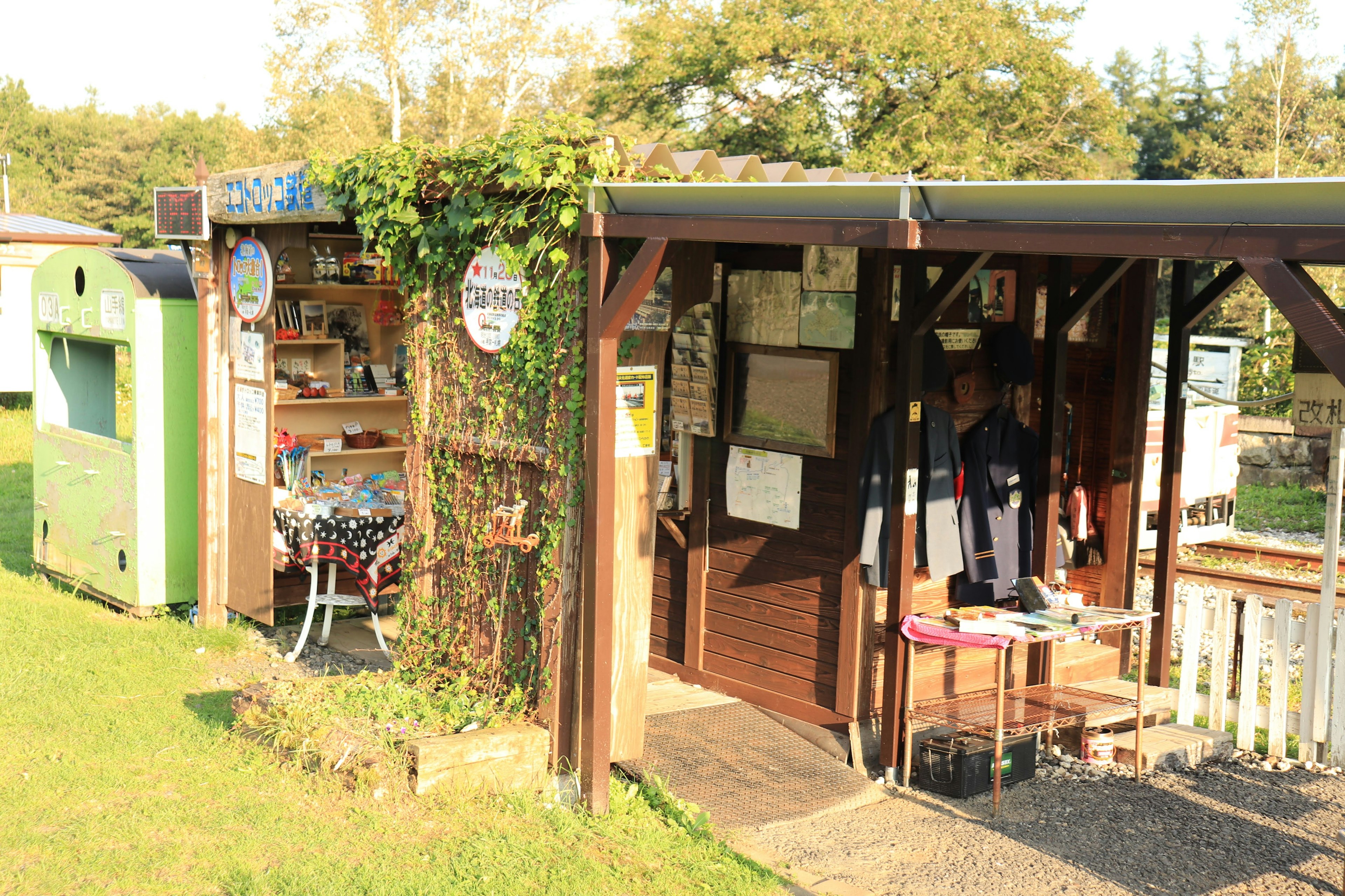 Eine kleine Holzschuppen mit einer grünen Struktur, die in der Szene sichtbar ist