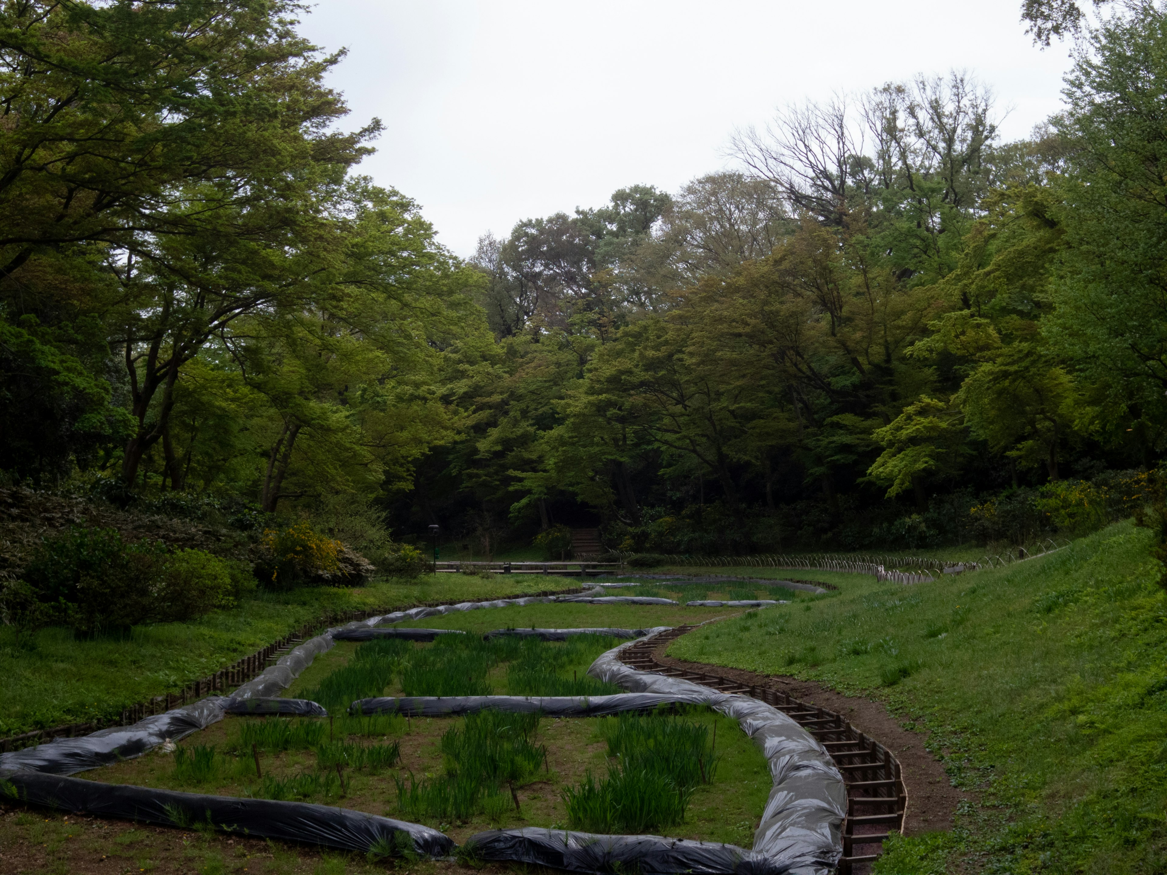 Curving waterway with rice paddies surrounded by lush greenery