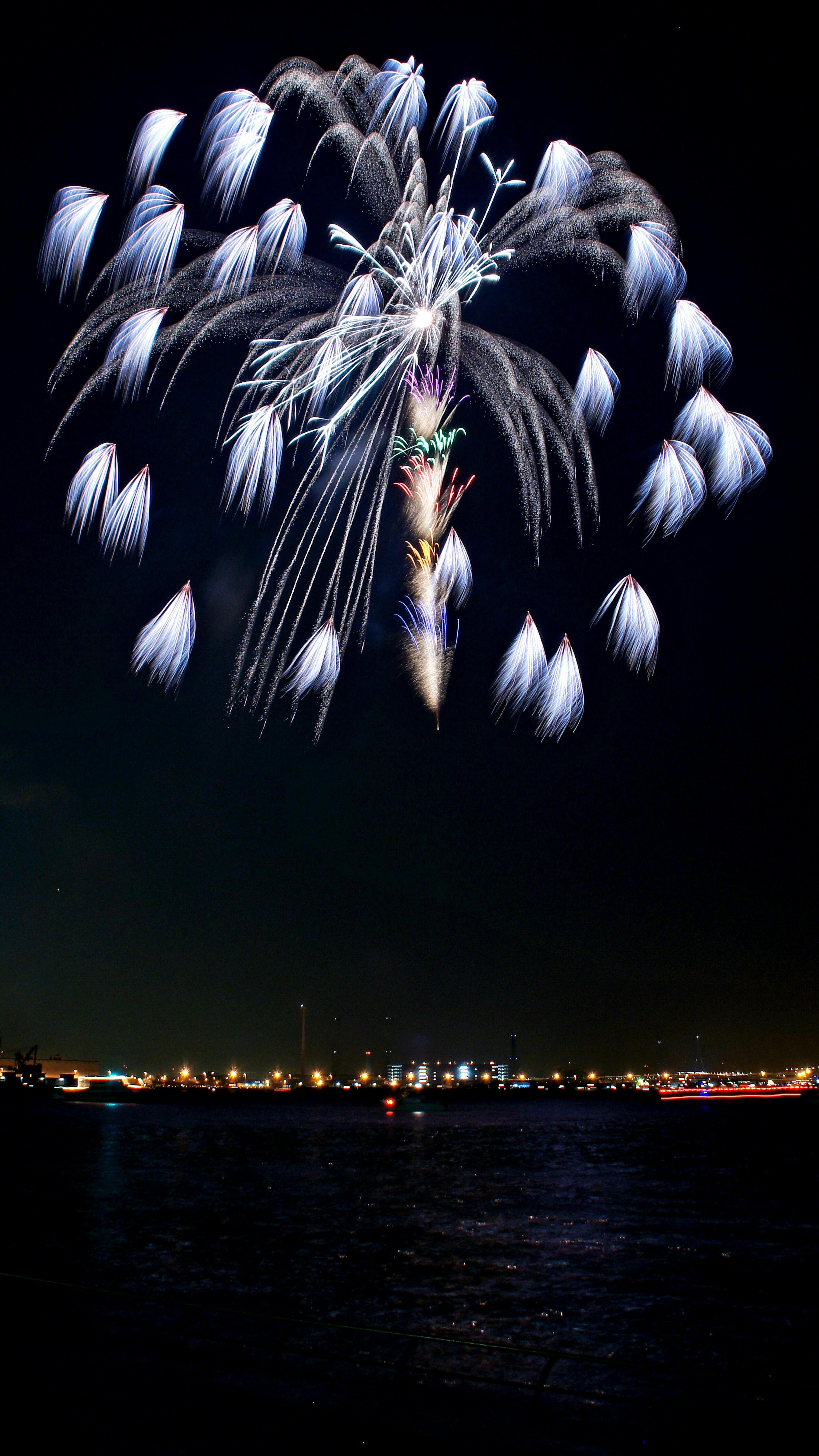 Fuegos artificiales estallando en el cielo nocturno reflejándose en el agua