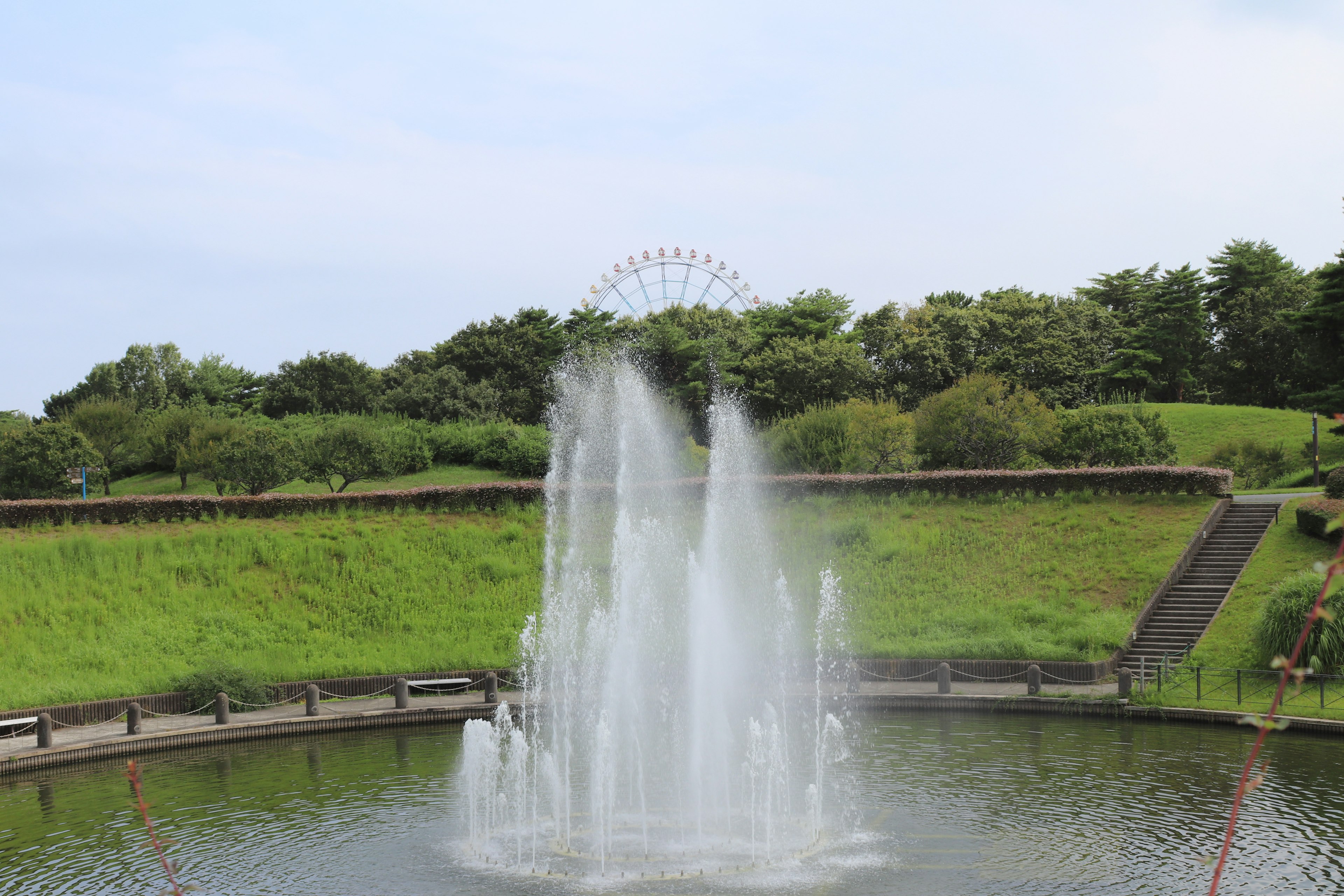 Fontaine dans un parc entouré de verdure