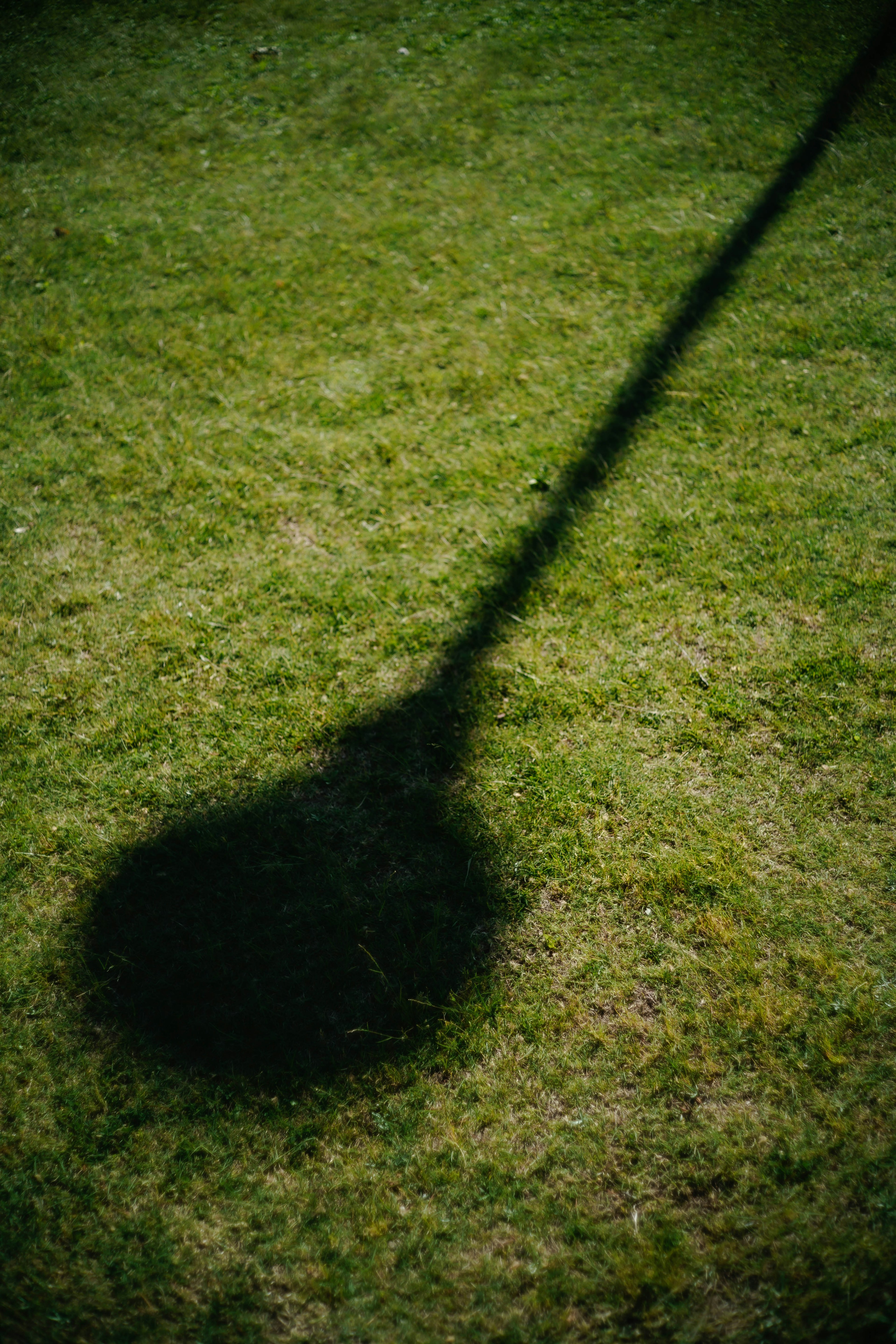 Shadow of a lamp on green grass