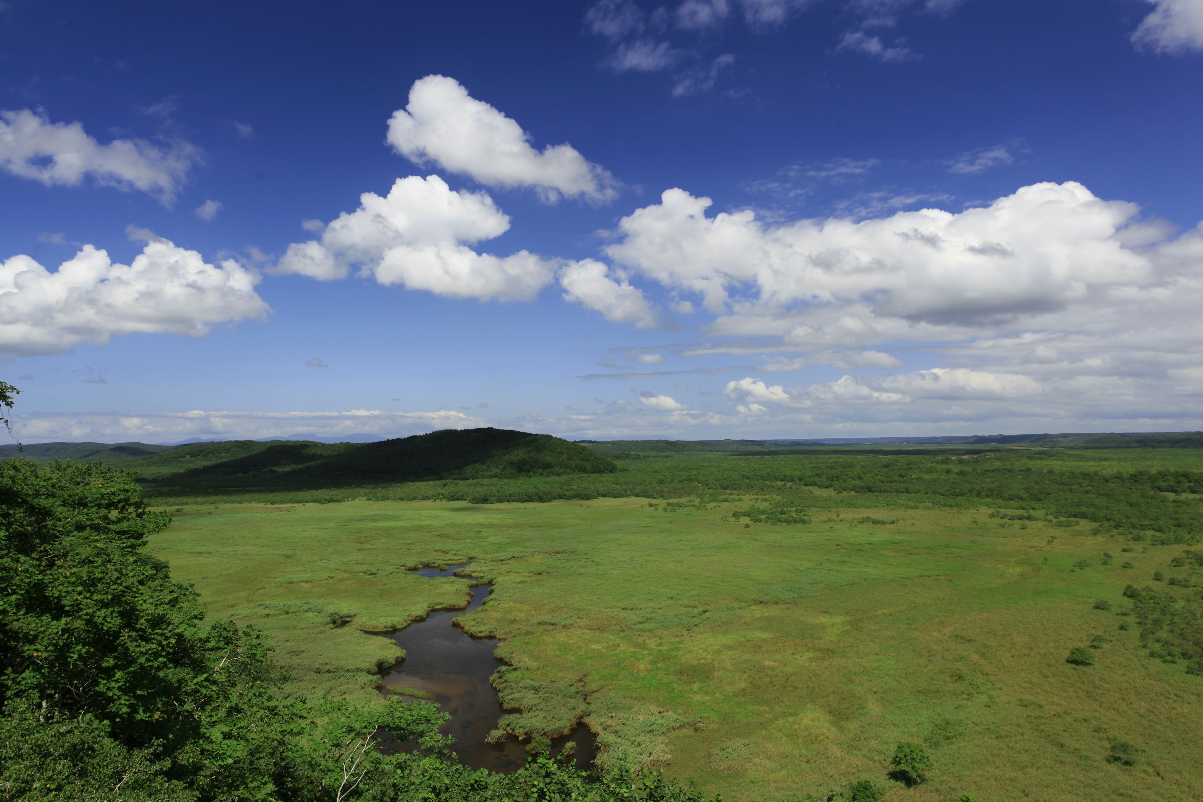 Amplia pradera verde bajo un cielo azul con nubes blancas