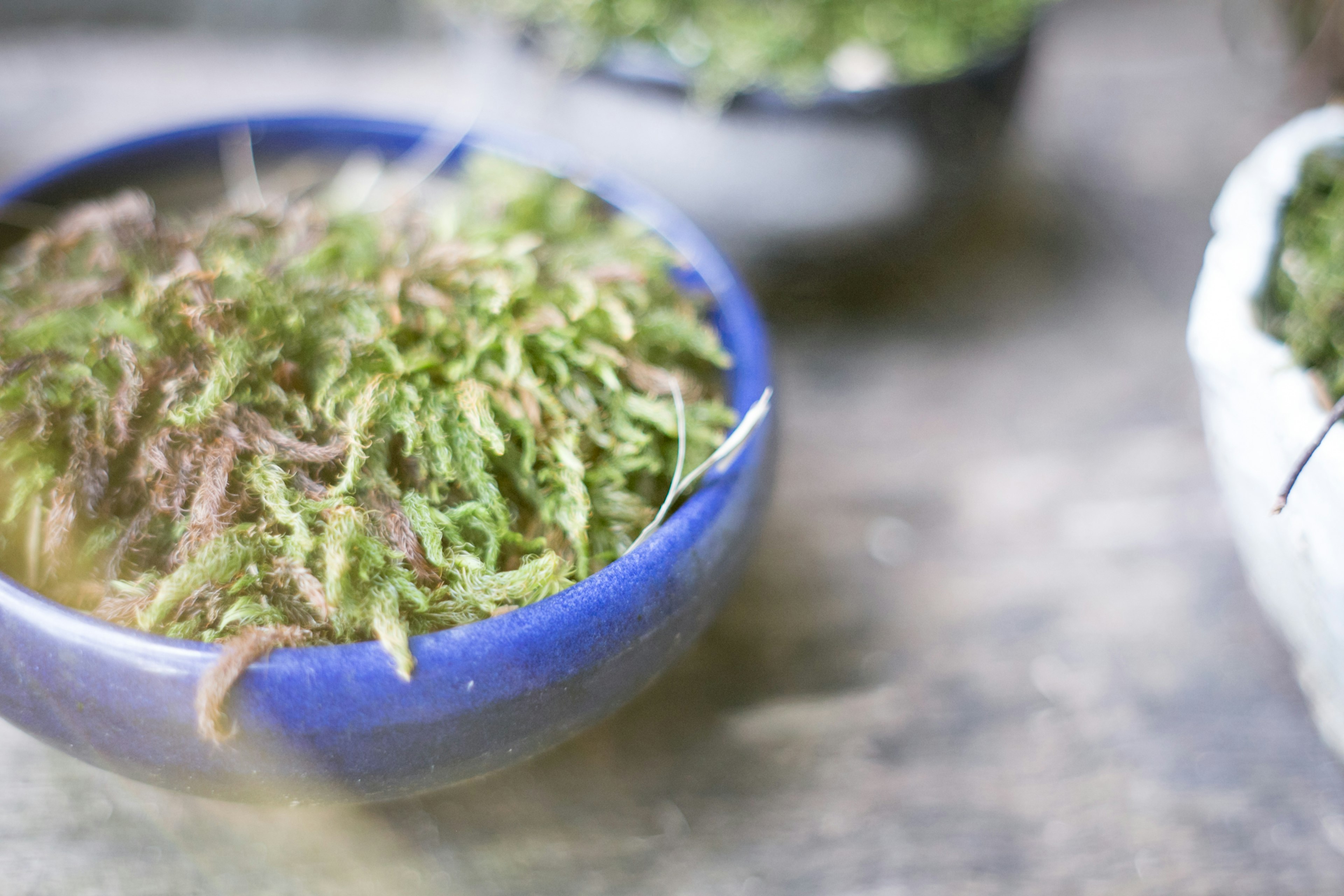 Mousse verte dans un bol bleu sur une table en bois naturel