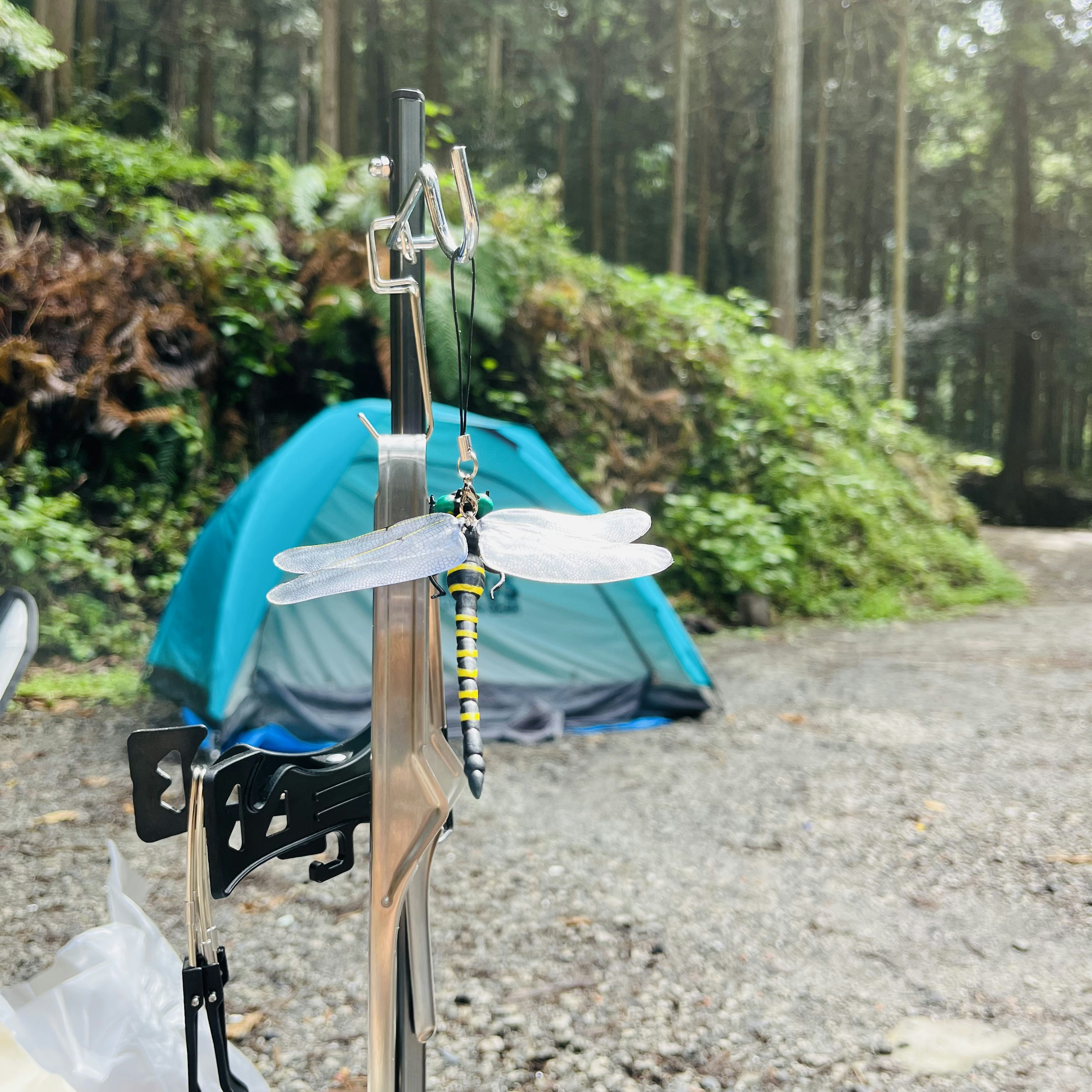 Campingplatz mit einem blauen Zelt und einer Libelle, die auf einem Metallhaken sitzt