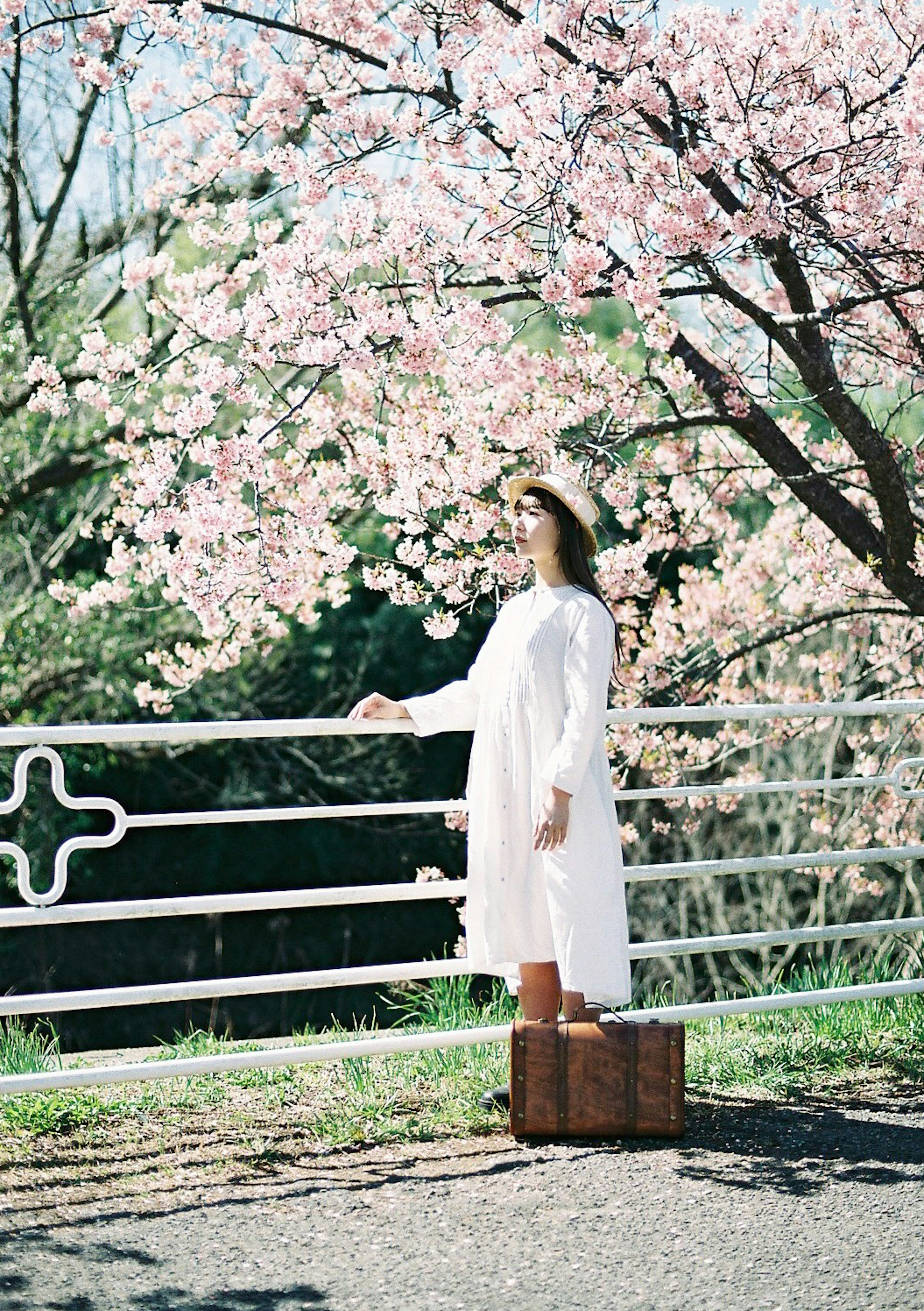 Una mujer con un vestido blanco de pie bajo un árbol de cerezo en flor