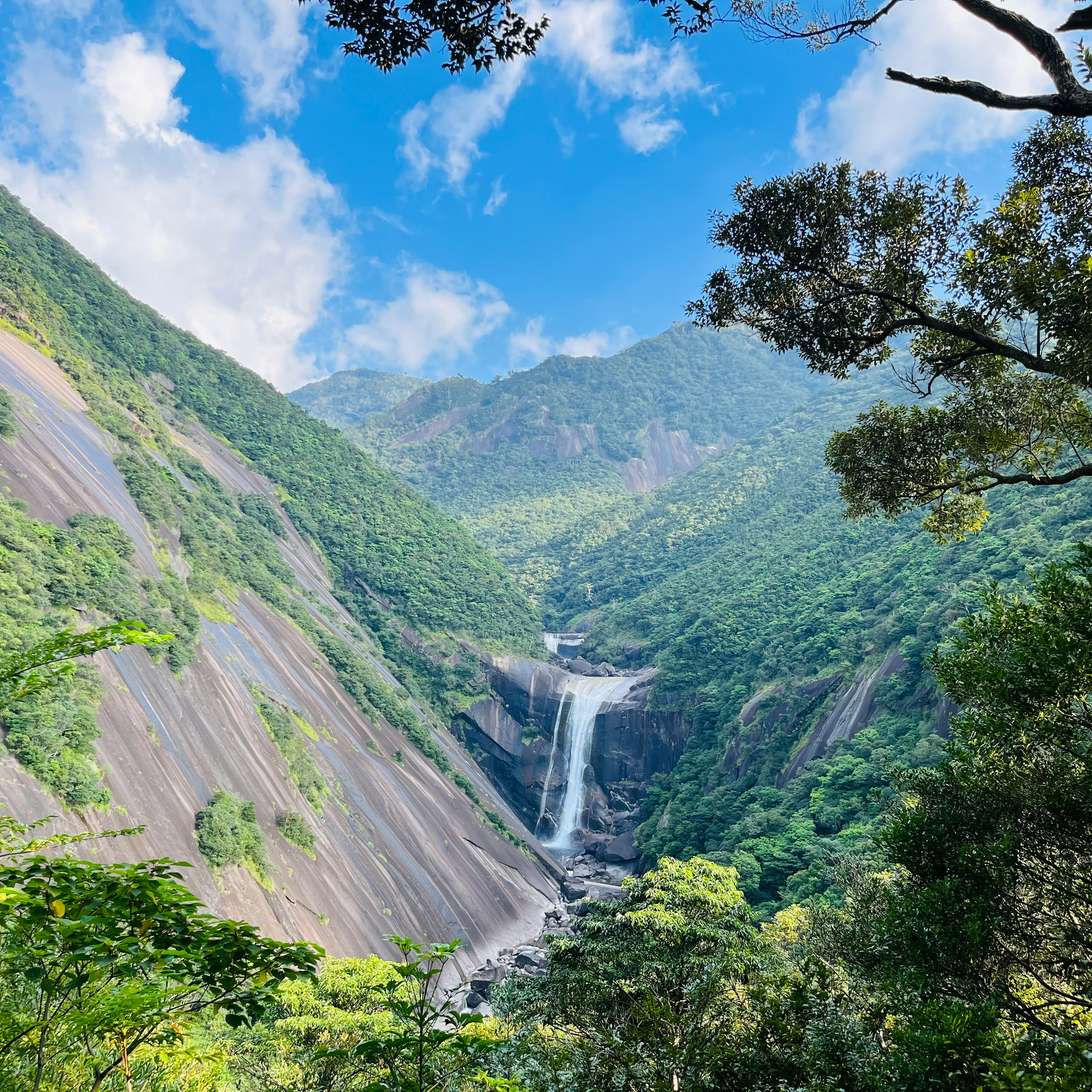 Vue pittoresque de montagnes verdoyantes et d'une cascade