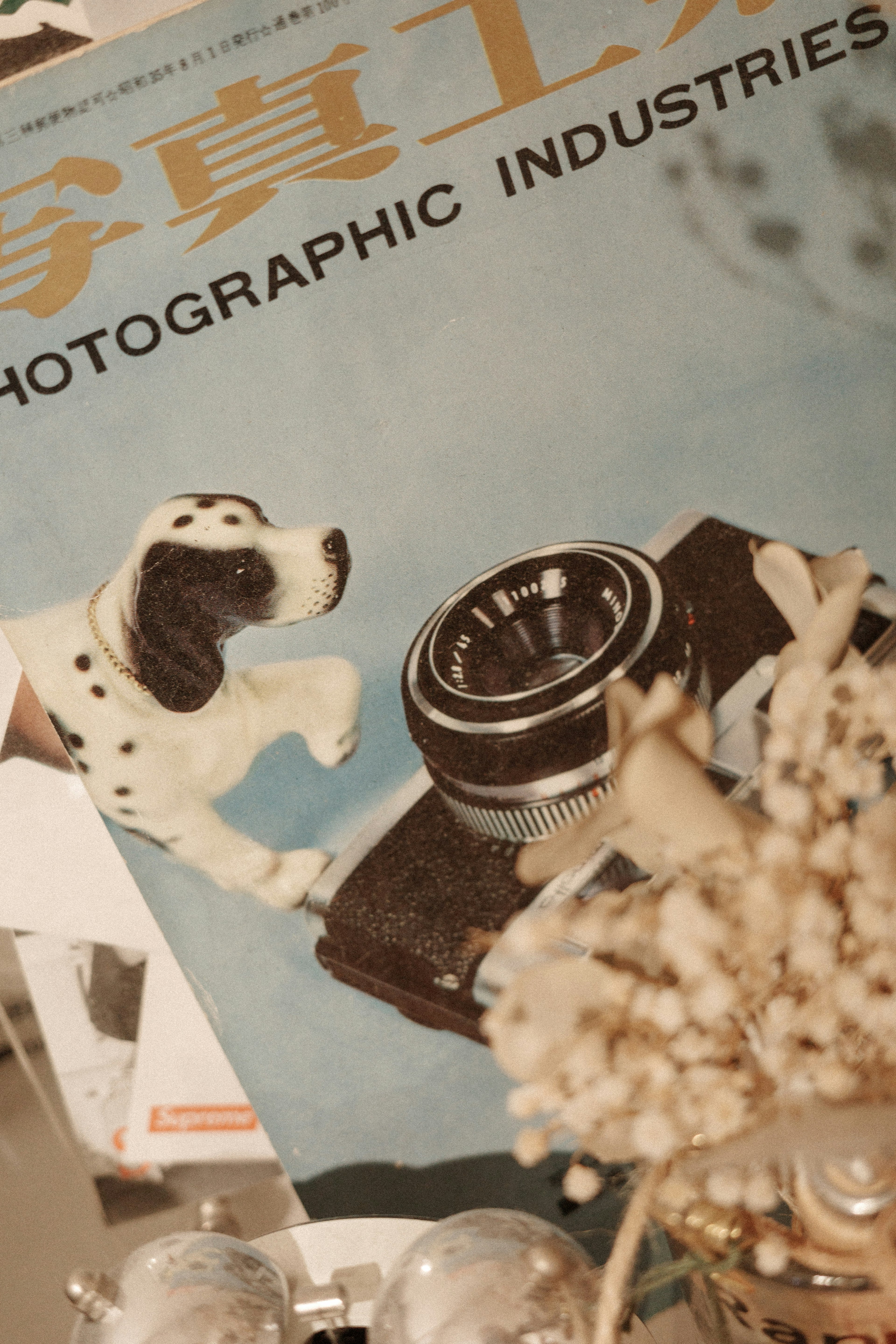 Couverture d'un magazine de photographie avec un appareil photo et une figurine de chien