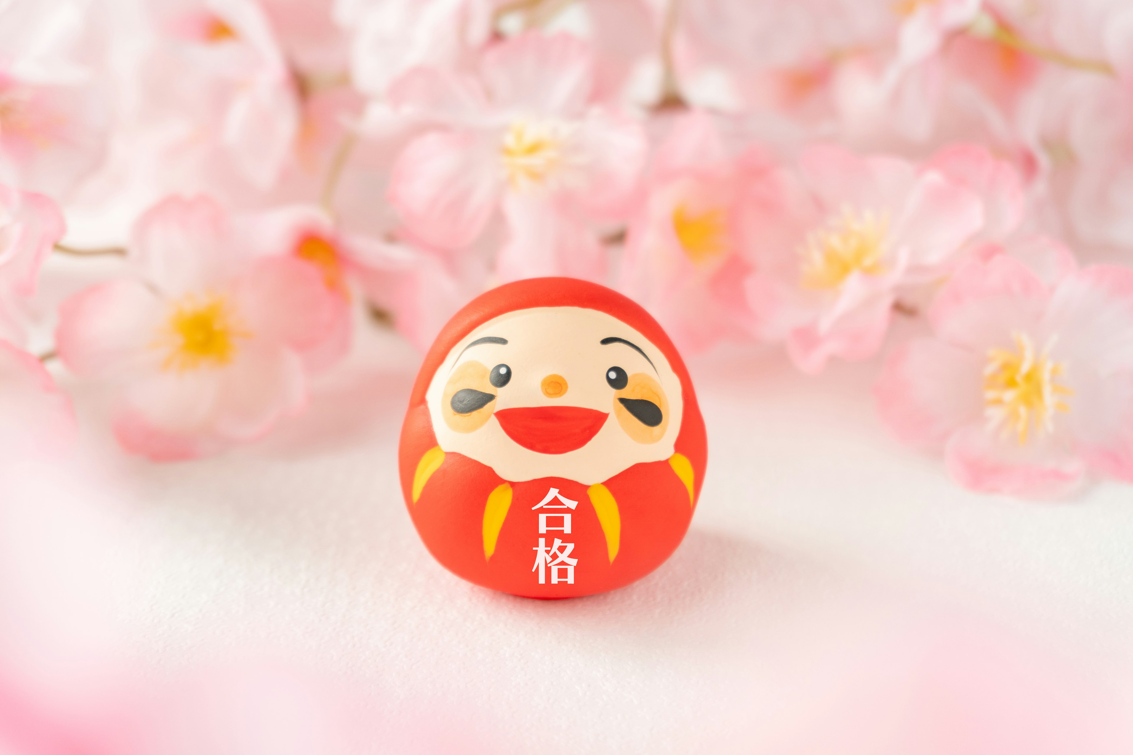 Red daruma doll placed in front of cherry blossoms