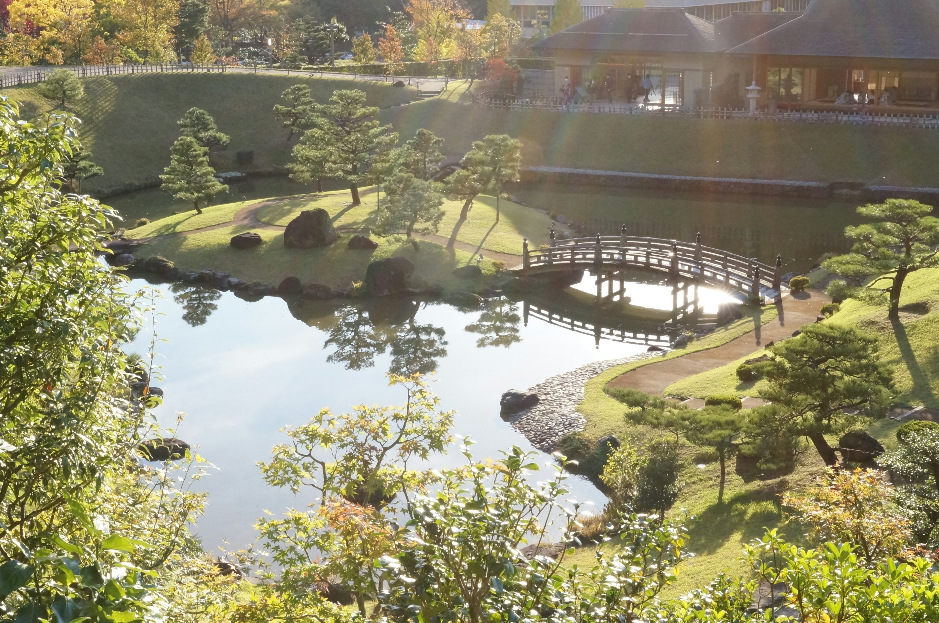 Une belle scène de jardin japonais avec un pont et des reflets dans l'étang