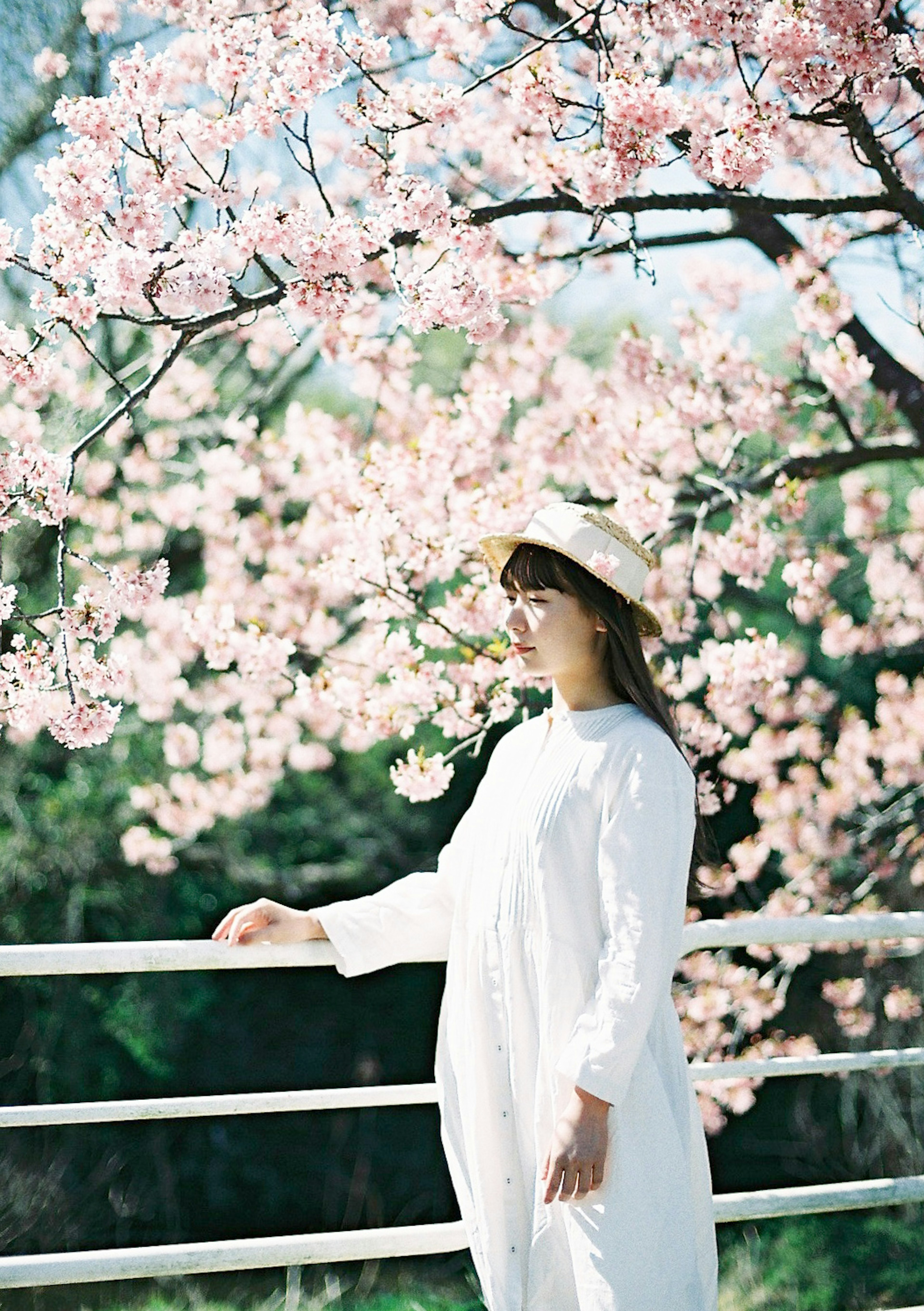 Mujer con vestido blanco de pie bajo un árbol de cerezo en flor