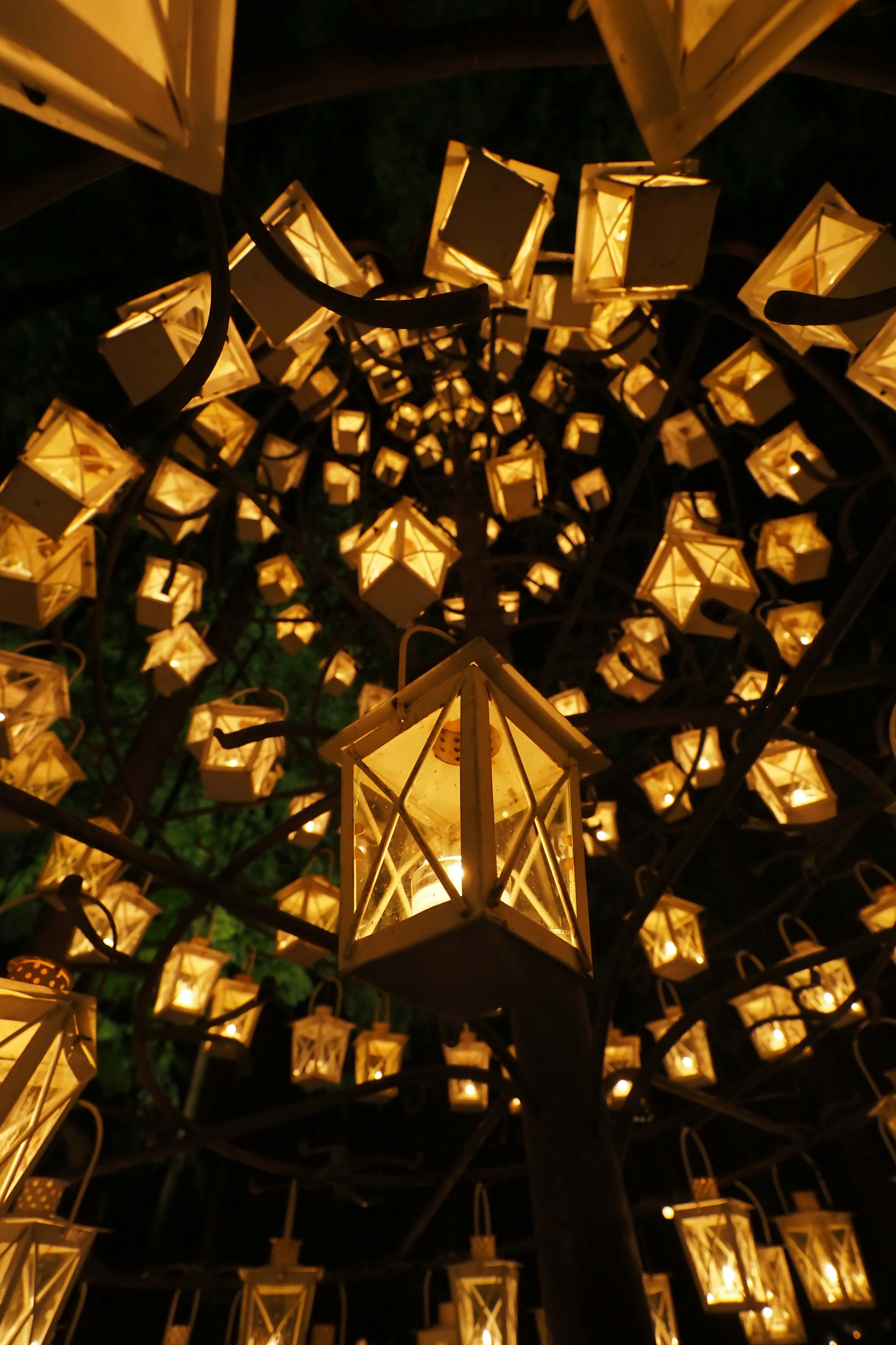 Beautiful scene of lanterns spiraling down illuminating the darkness