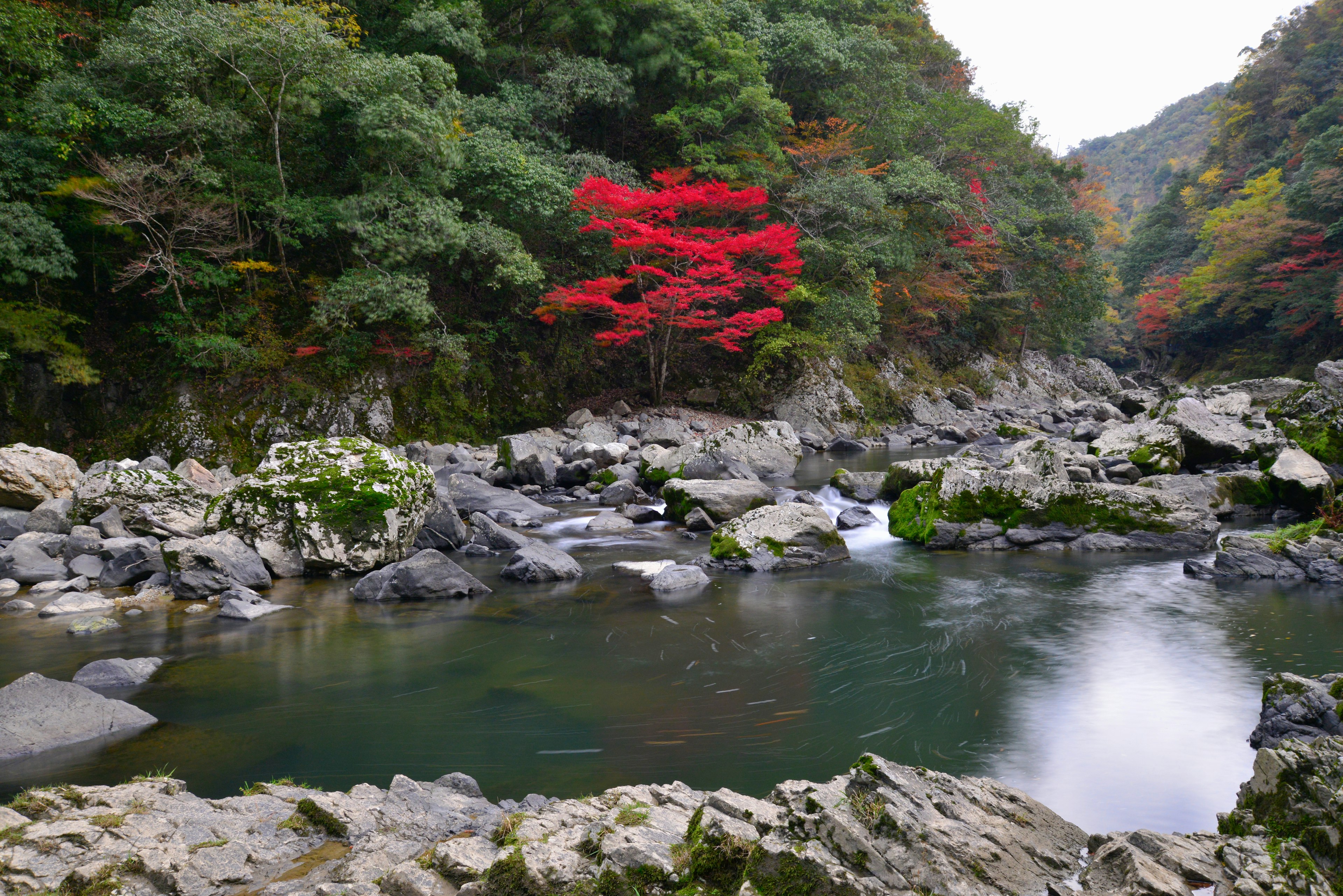 美しい川と岩の景色に赤い木が映える秋の風景