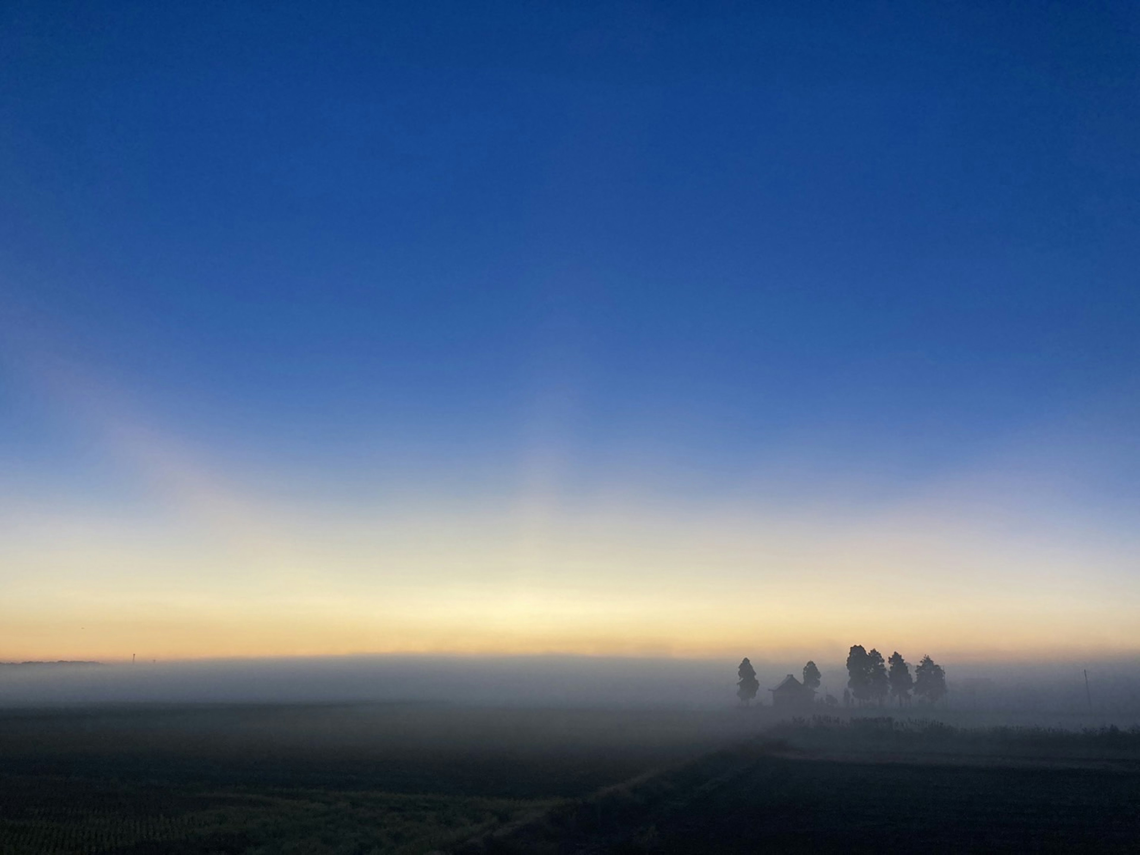 Paesaggio di alberi nella nebbia con cielo blu