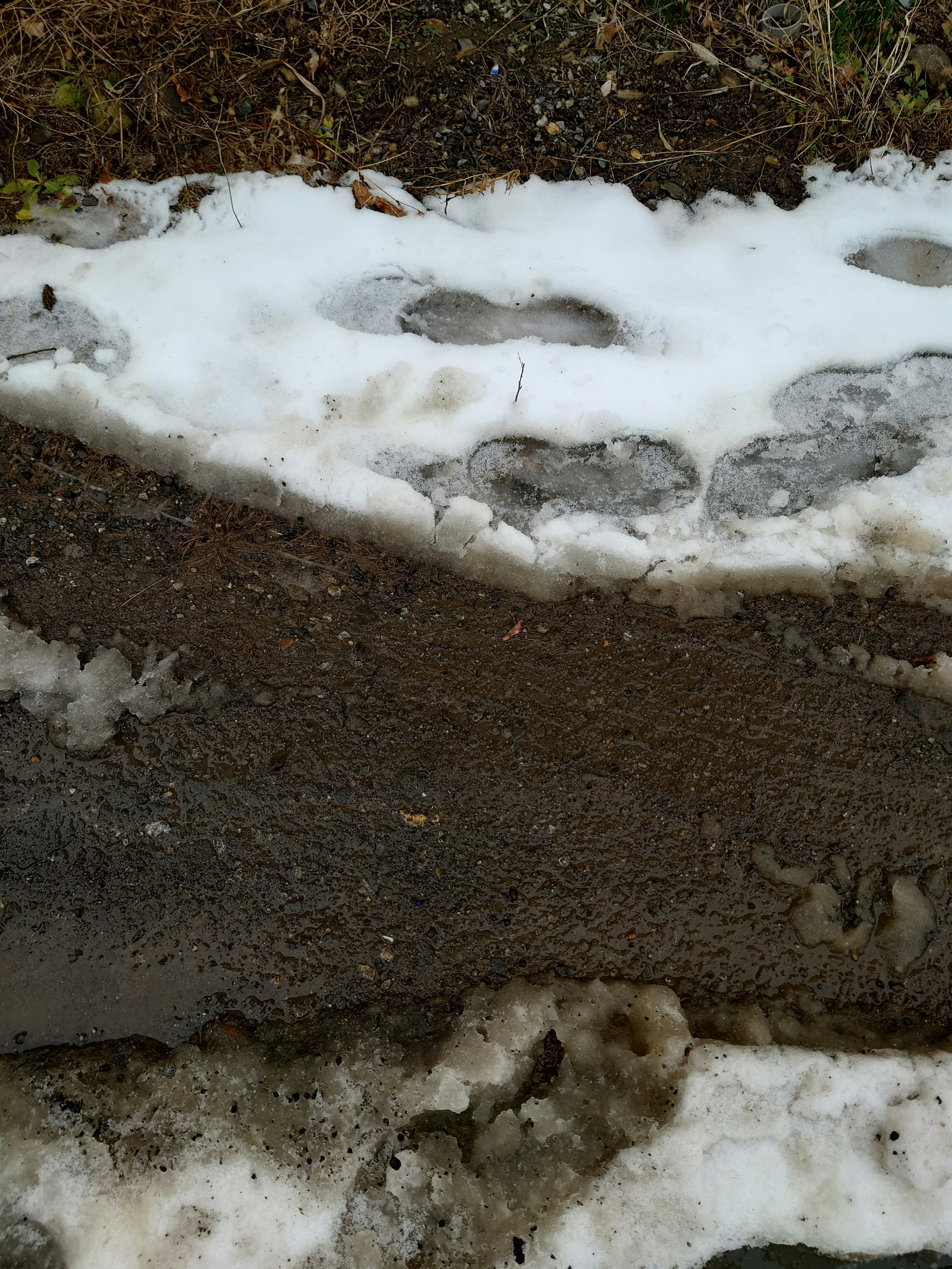 Immagine che mostra impronte nella neve con uno strato di terra sottostante