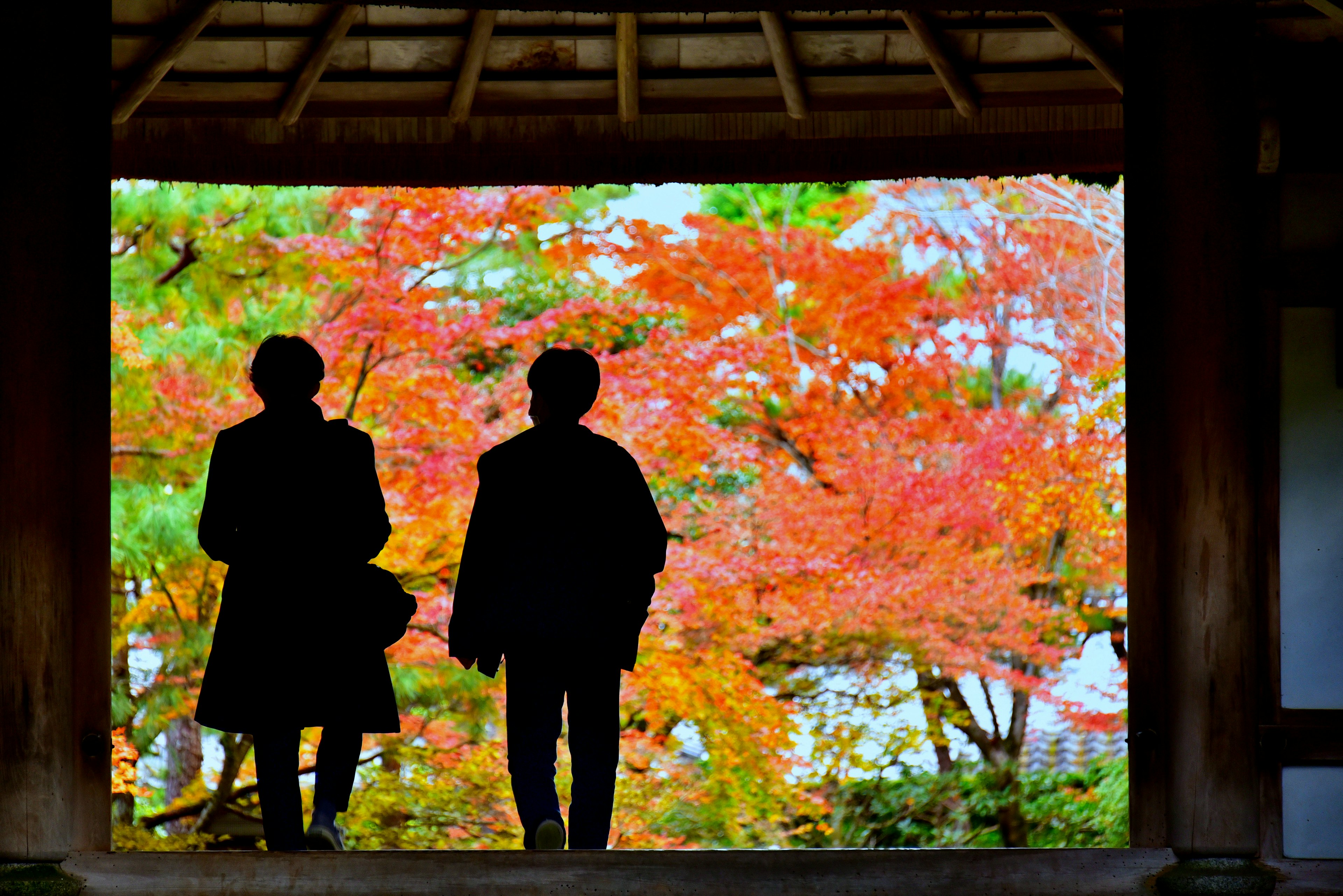 Silhouette d'un couple contre un feuillage d'automne