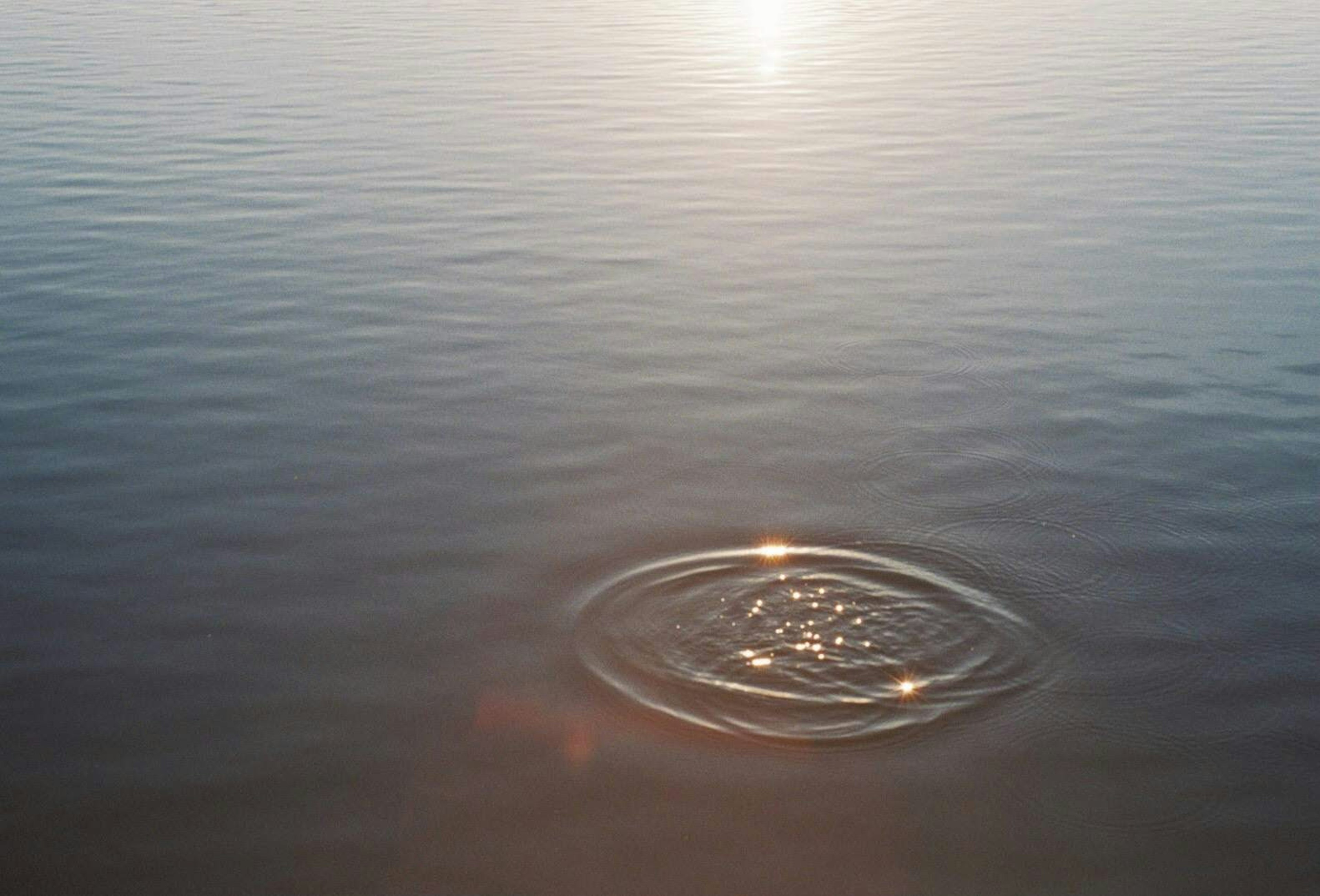 Ripples spreading across a calm water surface