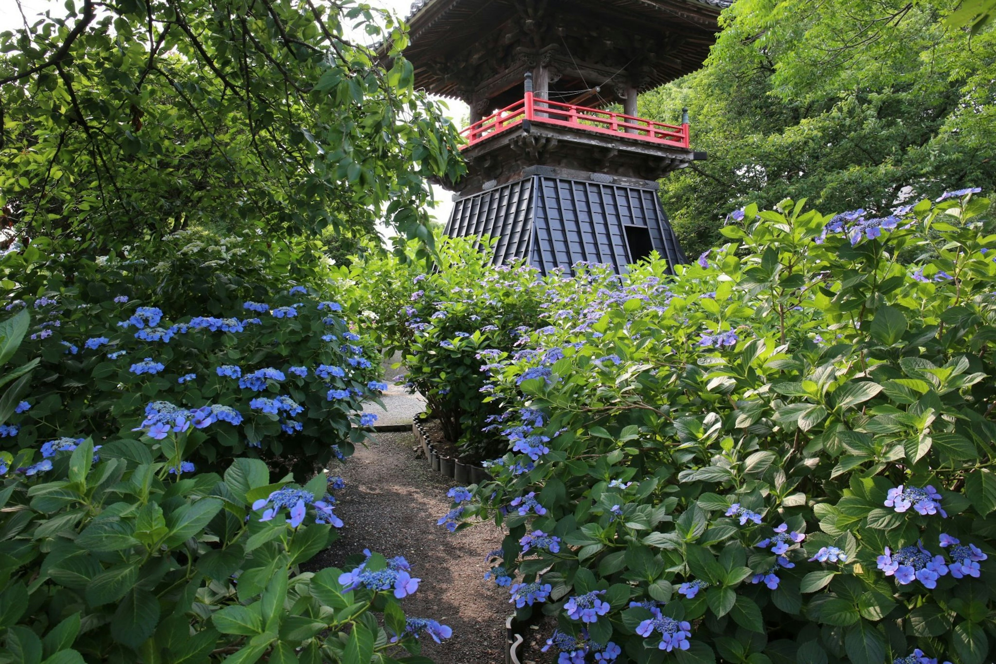 Pathway lined with blue flowers leading to a wooden tower