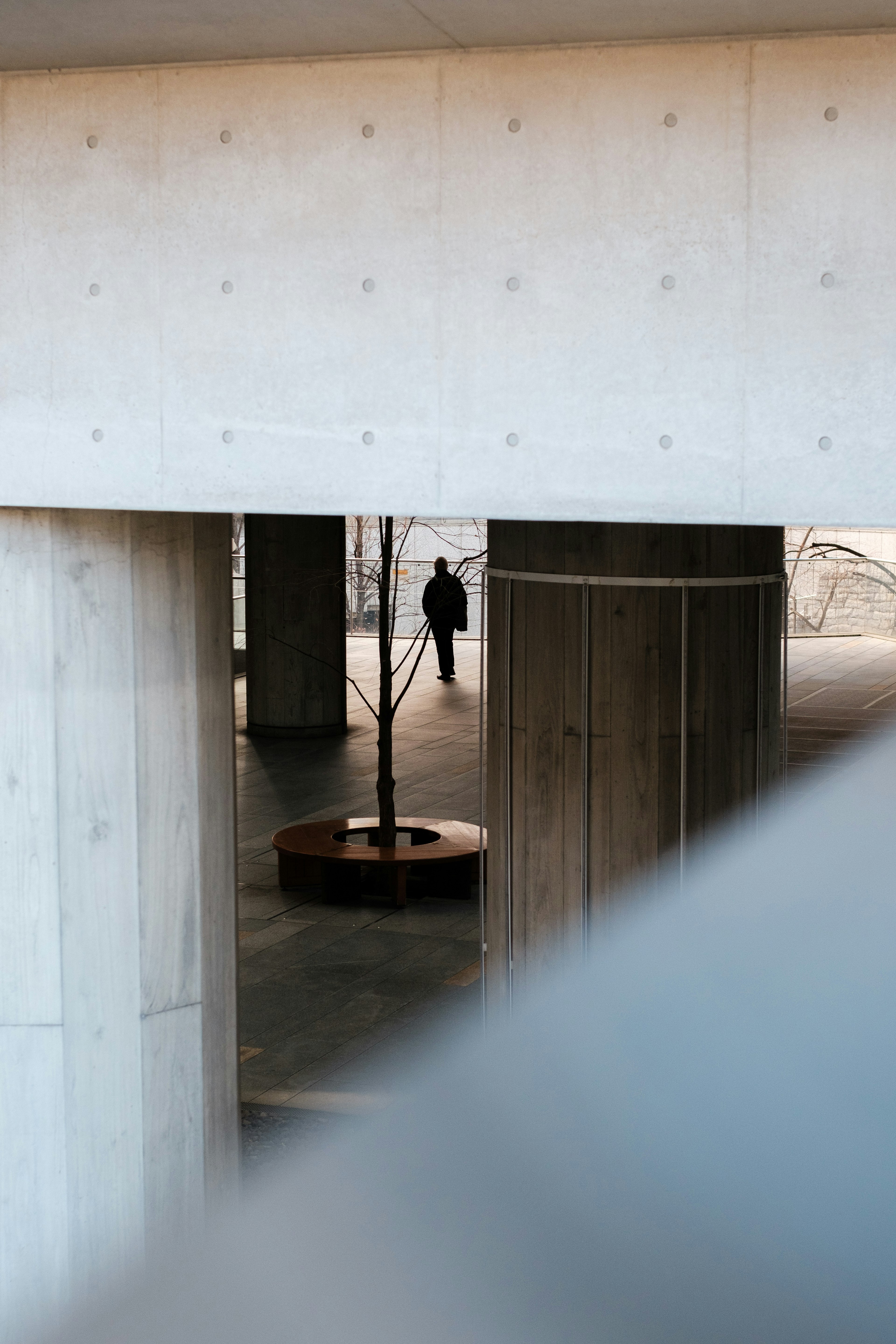 La silueta de una persona caminando entre columnas de concreto con un árbol al fondo