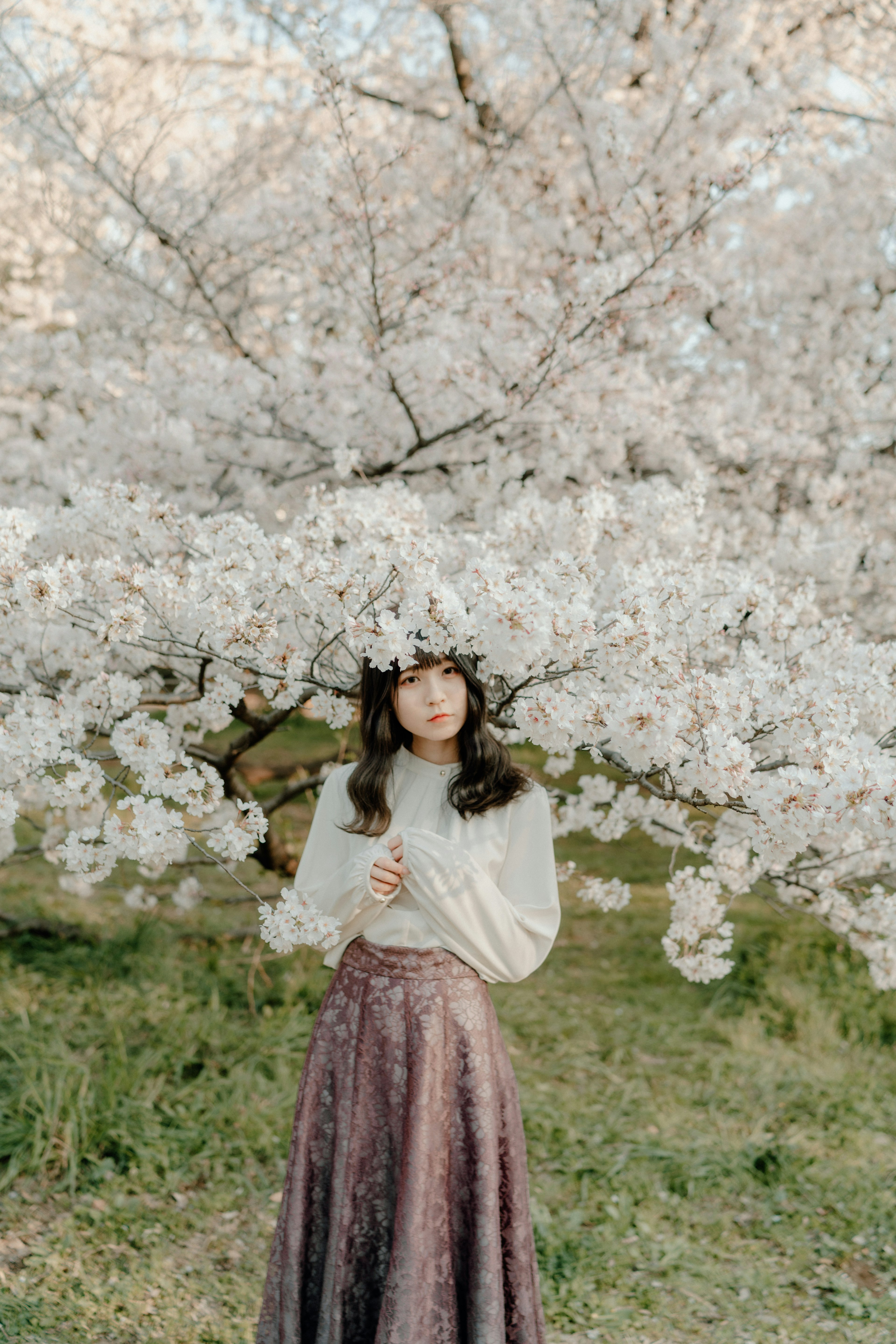 Woman standing under a cherry blossom tree wearing a white top and purple skirt in full bloom