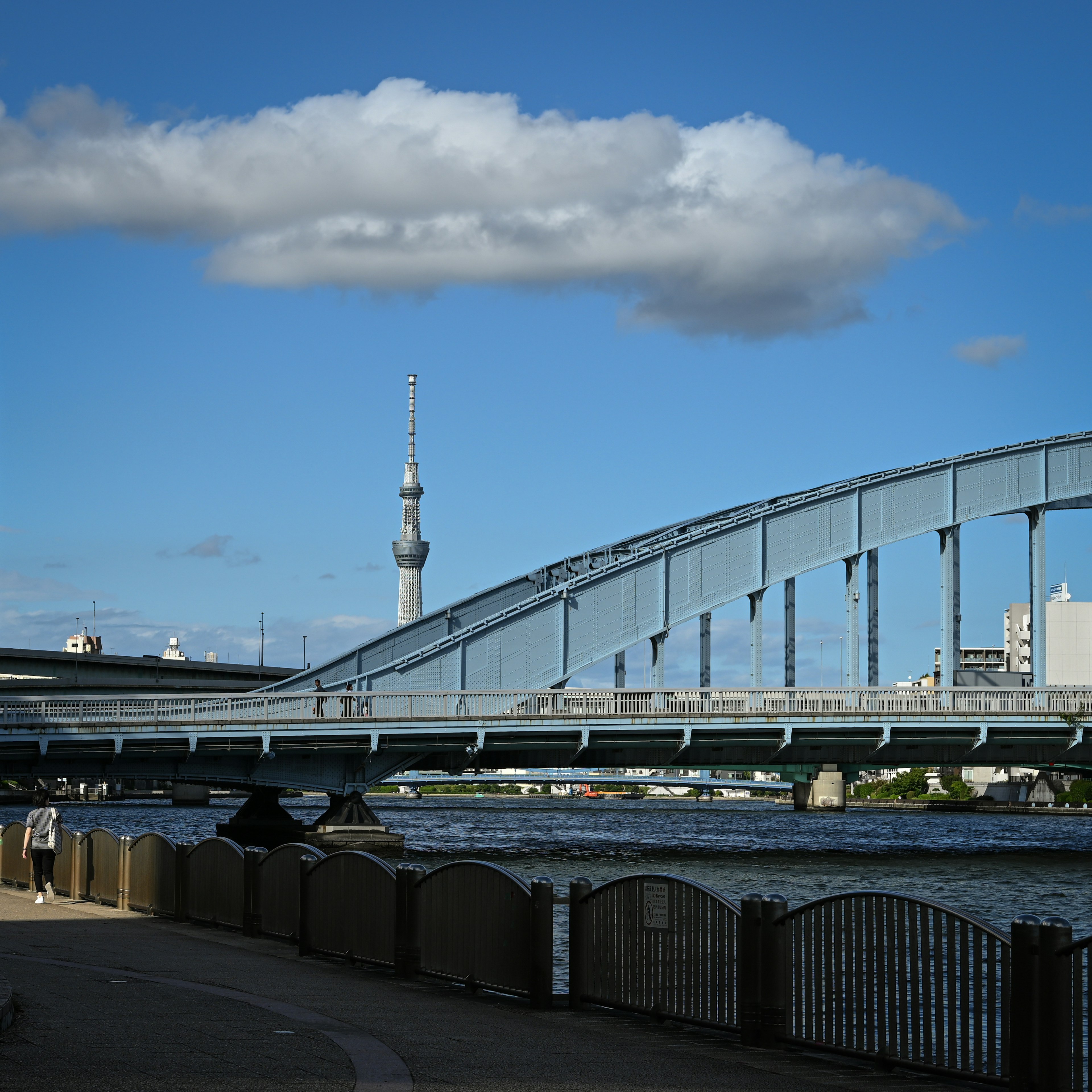 スカイツリーと川を背景にした橋の風景