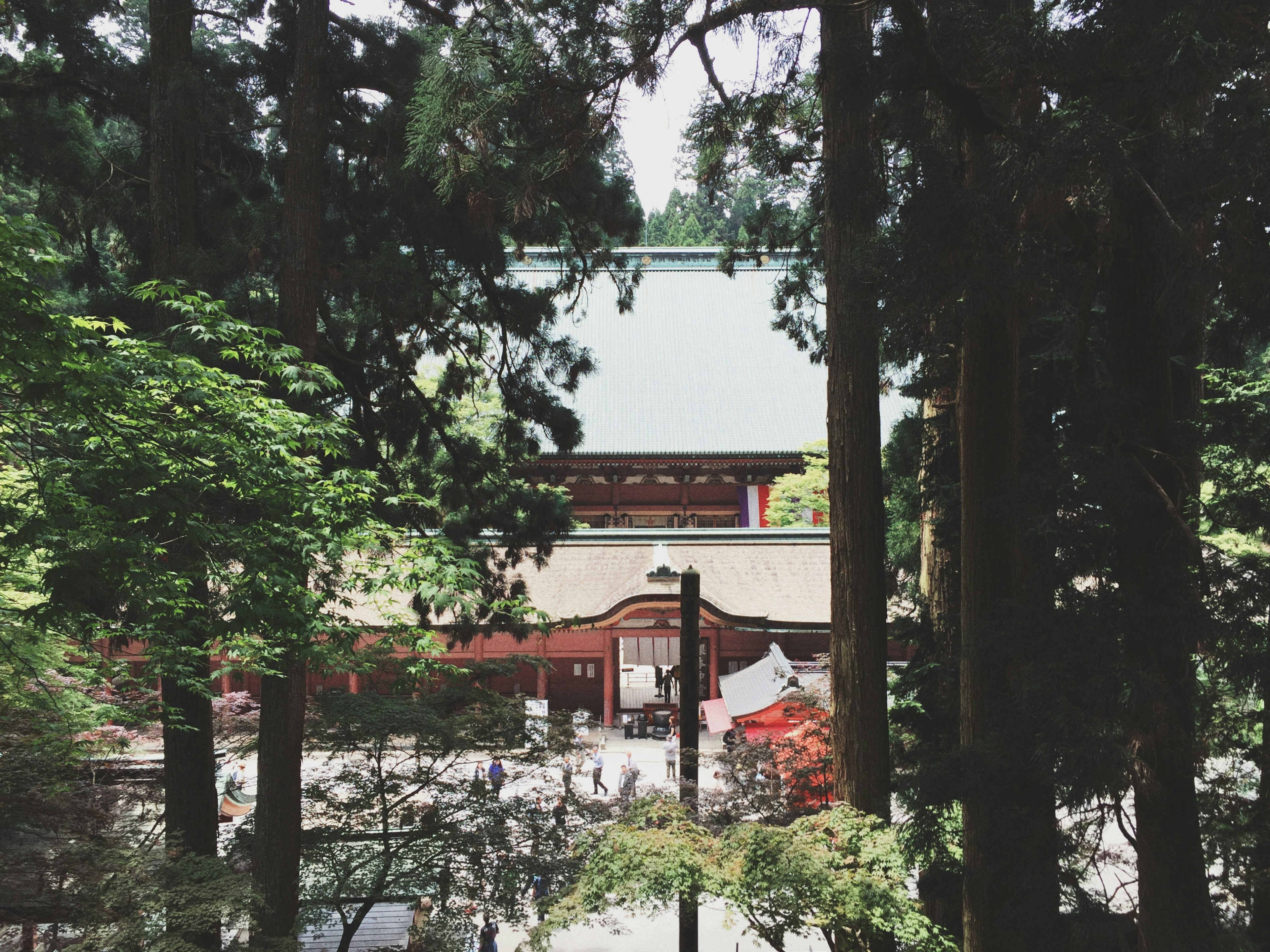 Vista di un santuario giapponese tradizionale immerso nella foresta