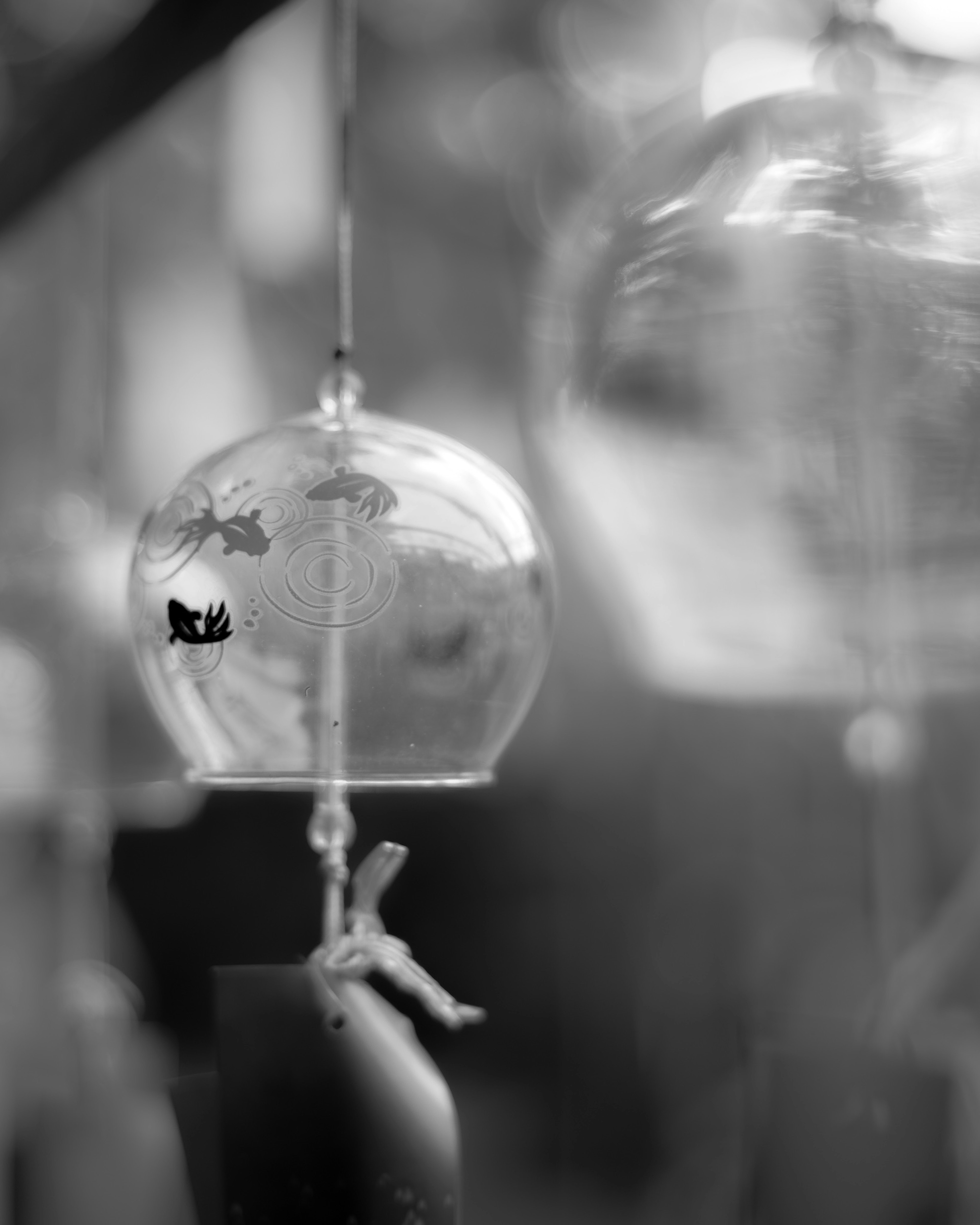 Une cloche en verre transparent suspendue dans une image en monochrome