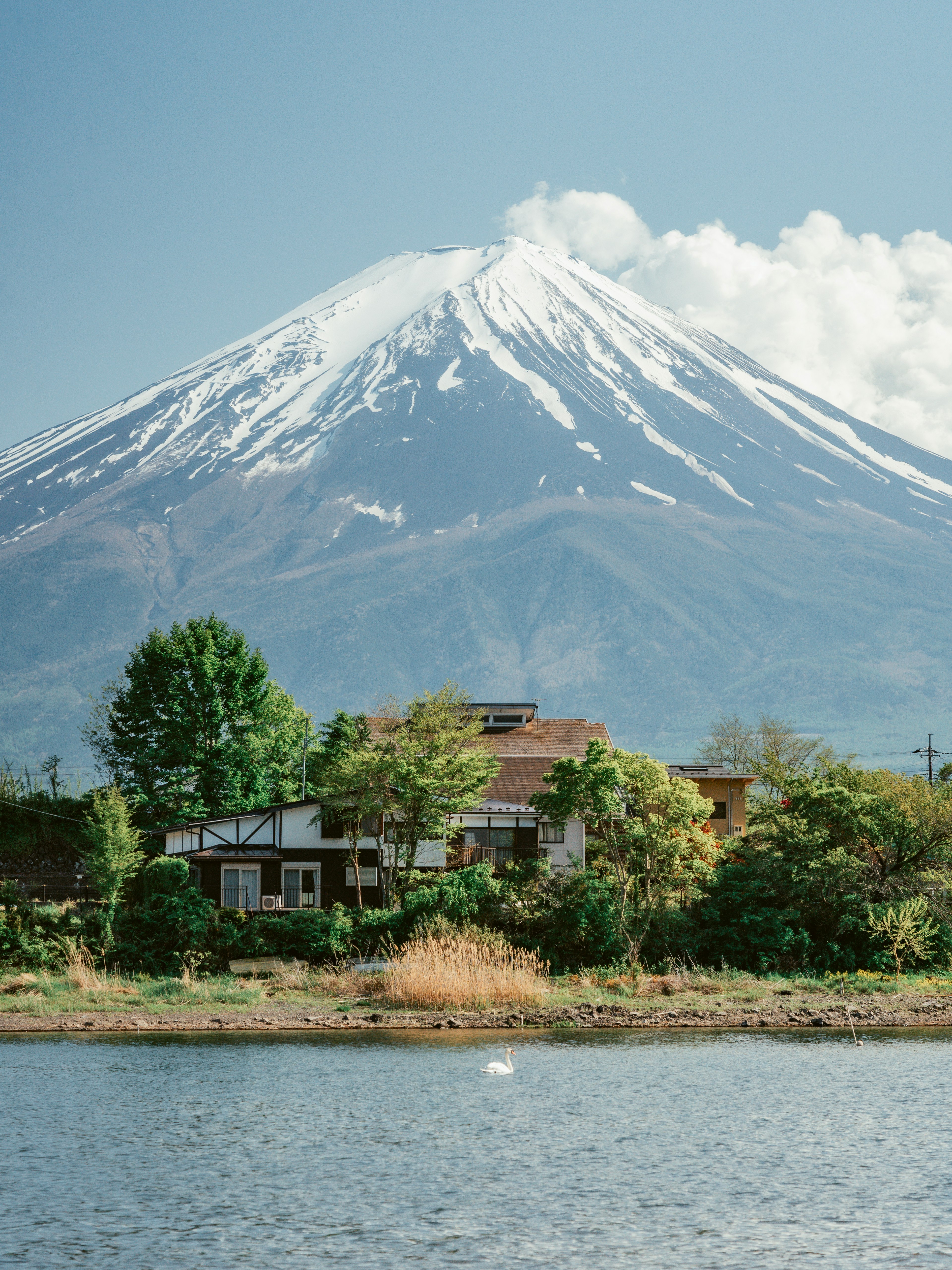 วิวสวยงามของภูเขาฟูจิพร้อมบ้านริมทะเลสาบ