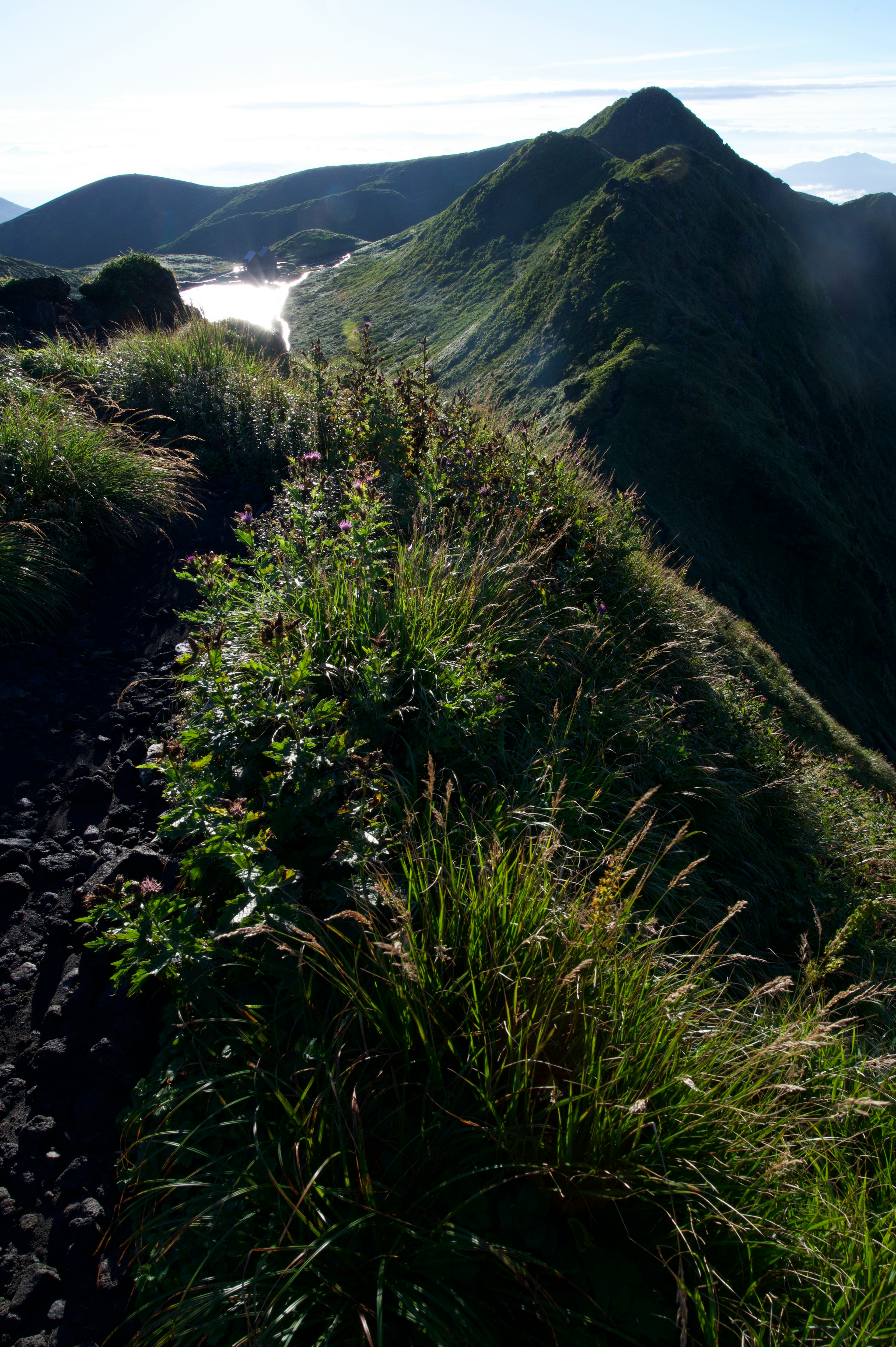 Crête montagneuse avec de l'herbe verte luxuriante et des sommets éloignés