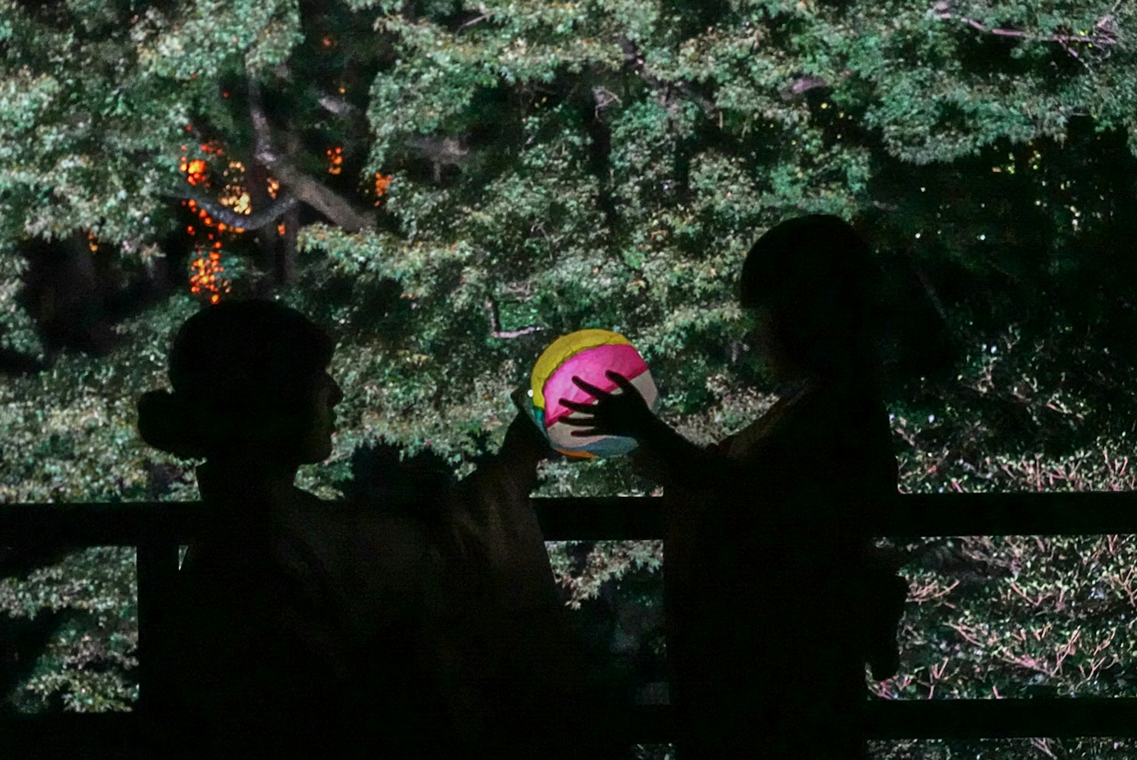 Silhouette of two women holding a colorful ball against a backdrop of greenery