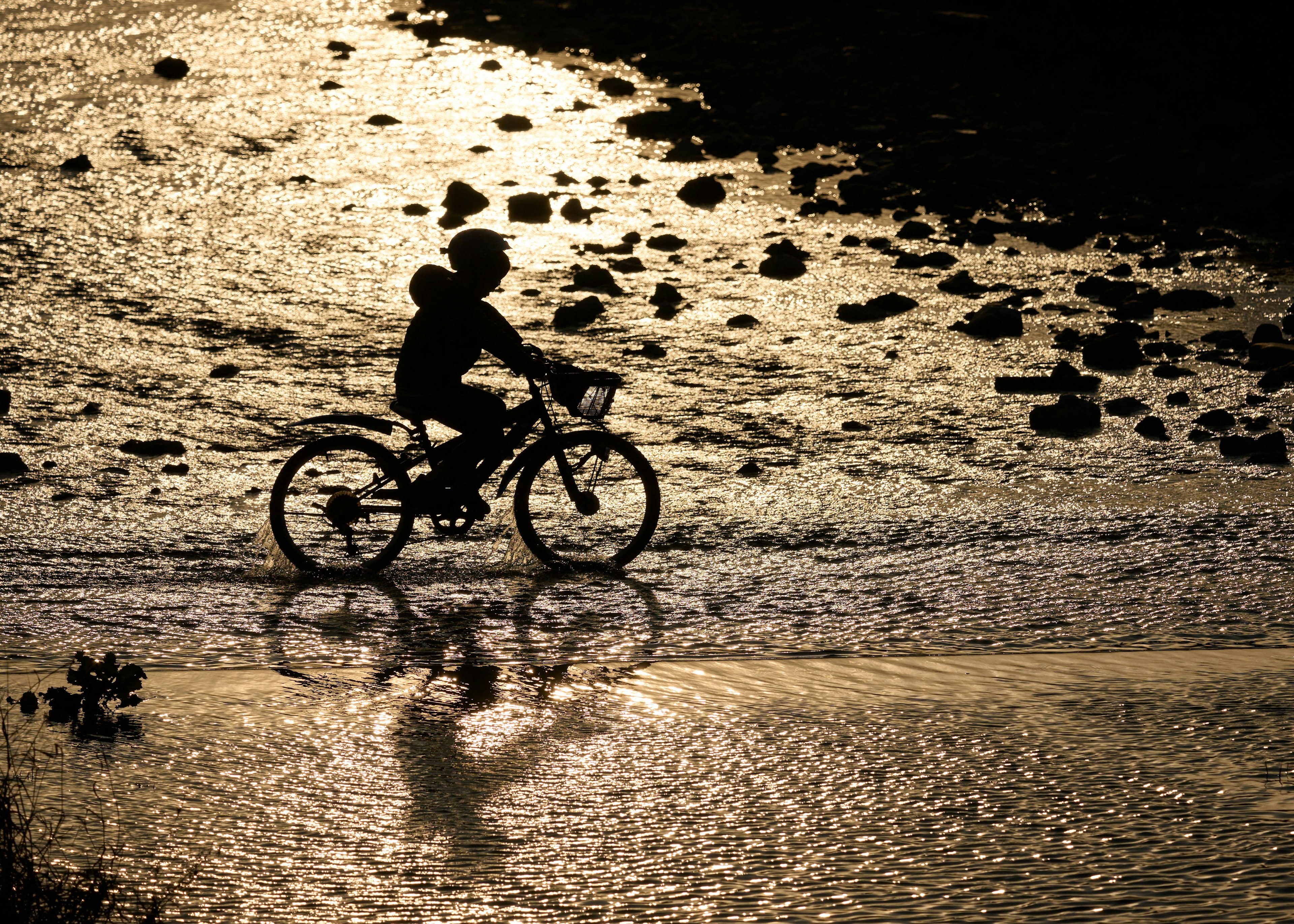 Silhouette of a person riding a bicycle reflected on shimmering water