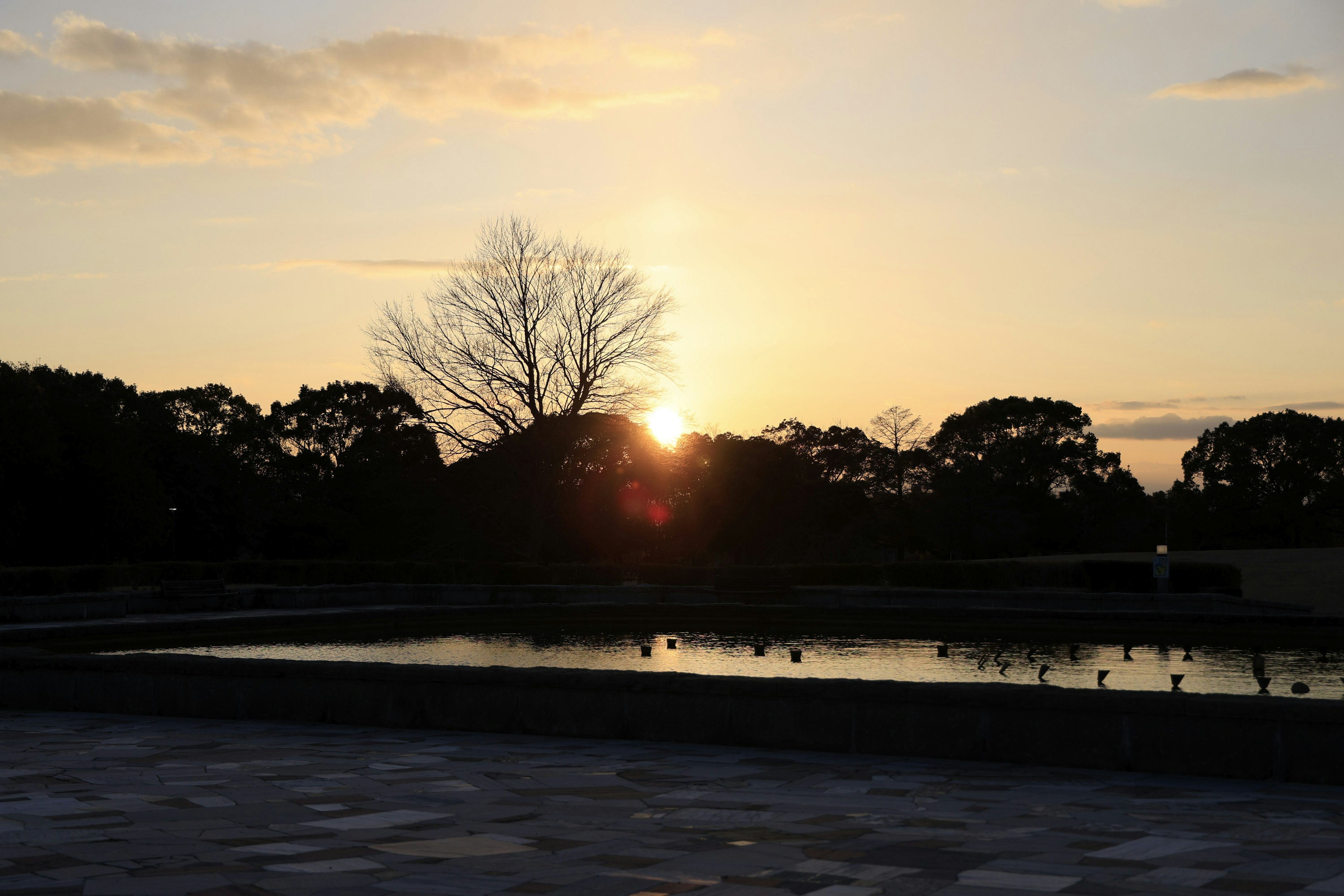 ทิวทัศน์สวนสาธารณะในยามพระอาทิตย์ตก พร้อมเงาของต้นไม้และสระน้ำ