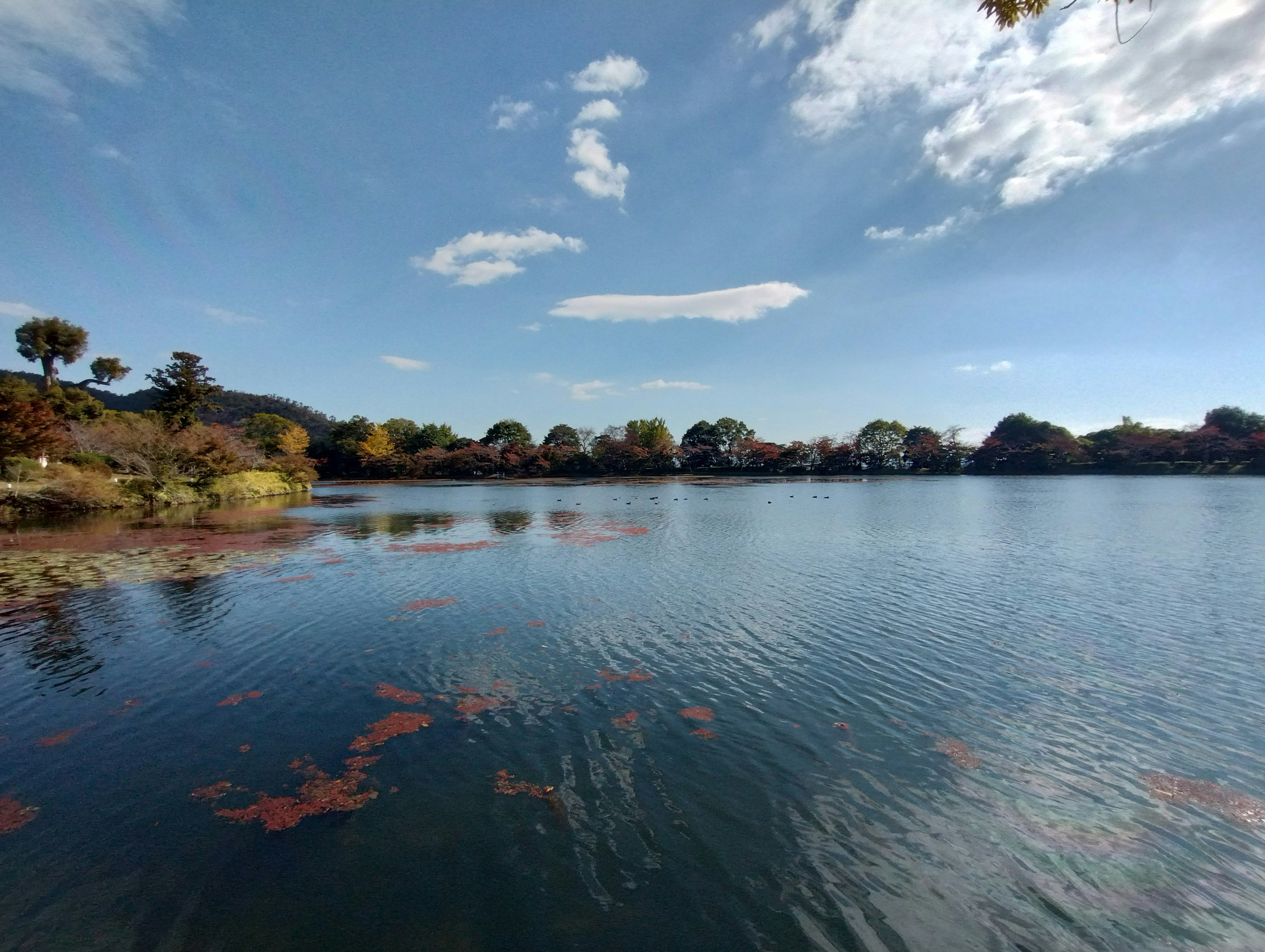 Vista panoramica di un lago sotto un cielo blu chiaro con riflessi di nuvole e alberi