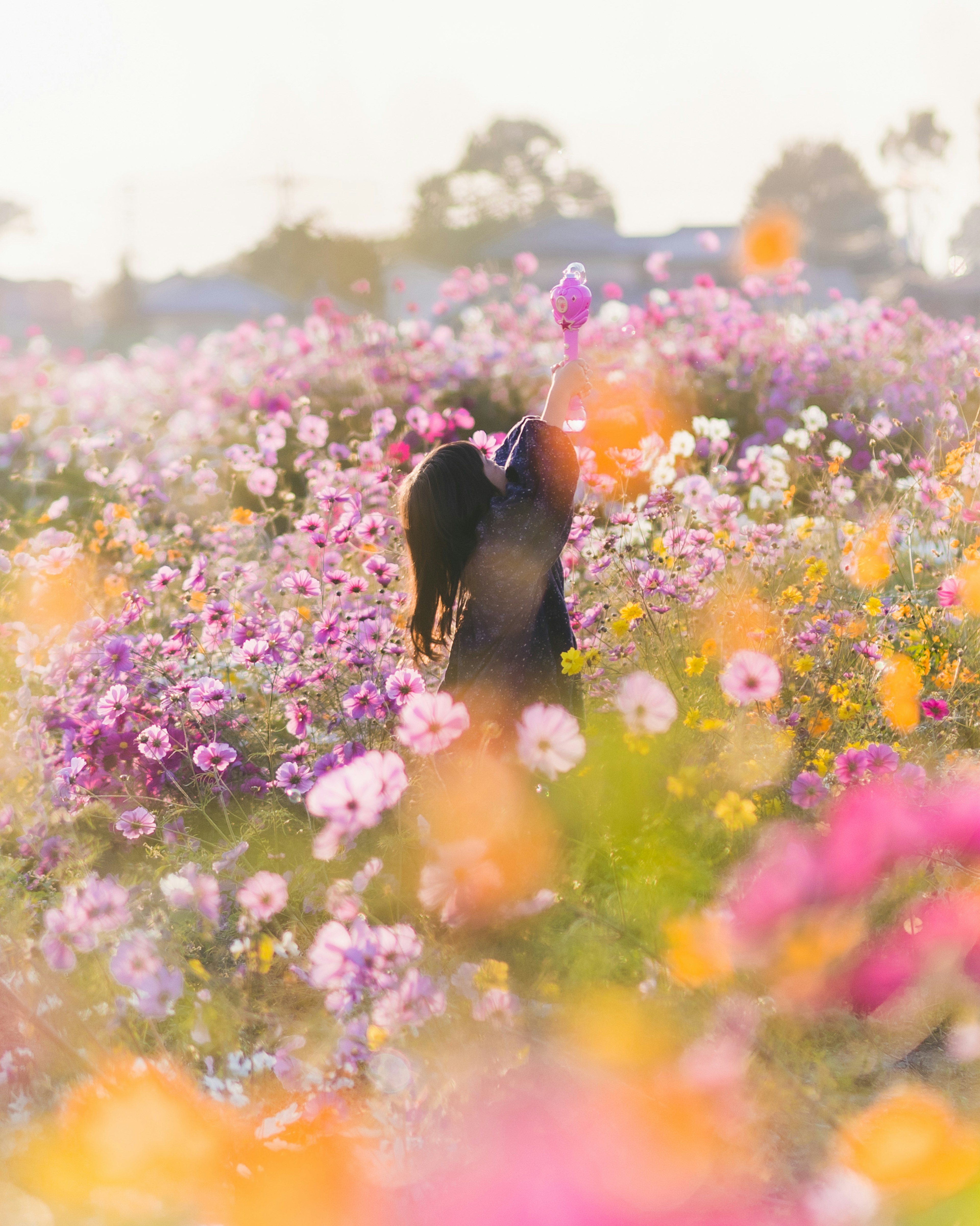 色とりどりの花が咲くフィールドで後ろ姿の女性