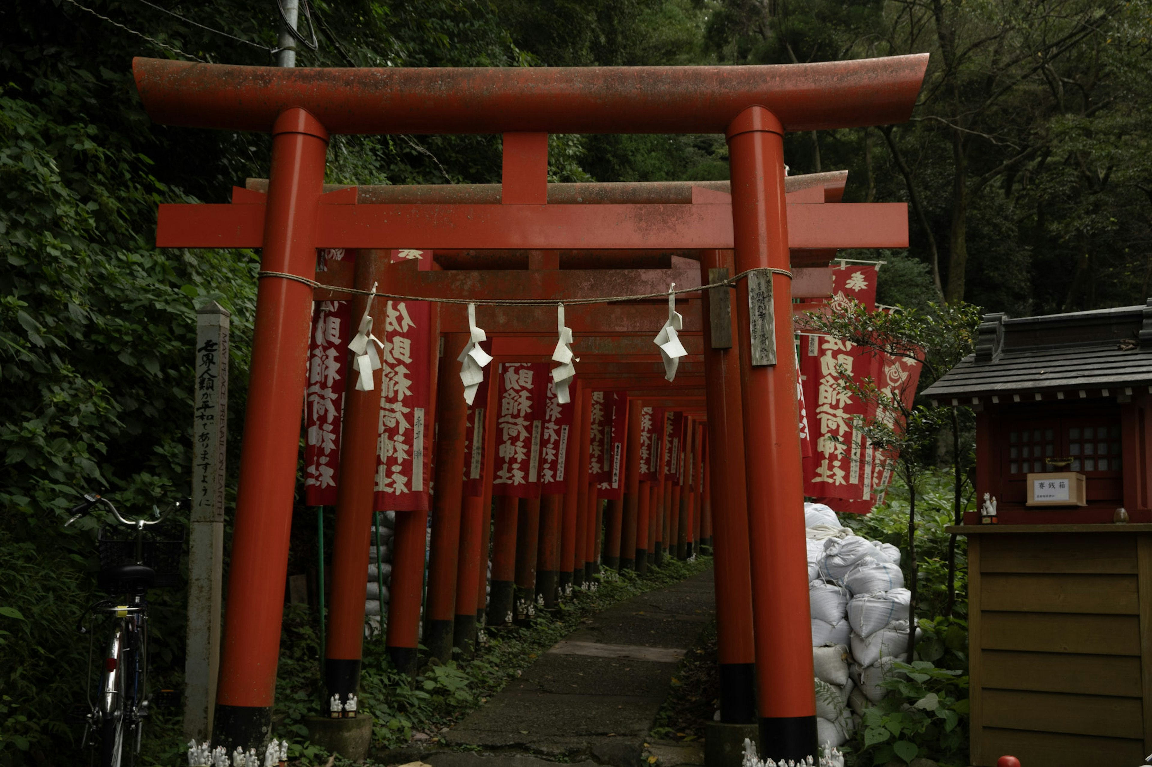 Jalan yang dipenuhi gerbang torii merah dan lampion