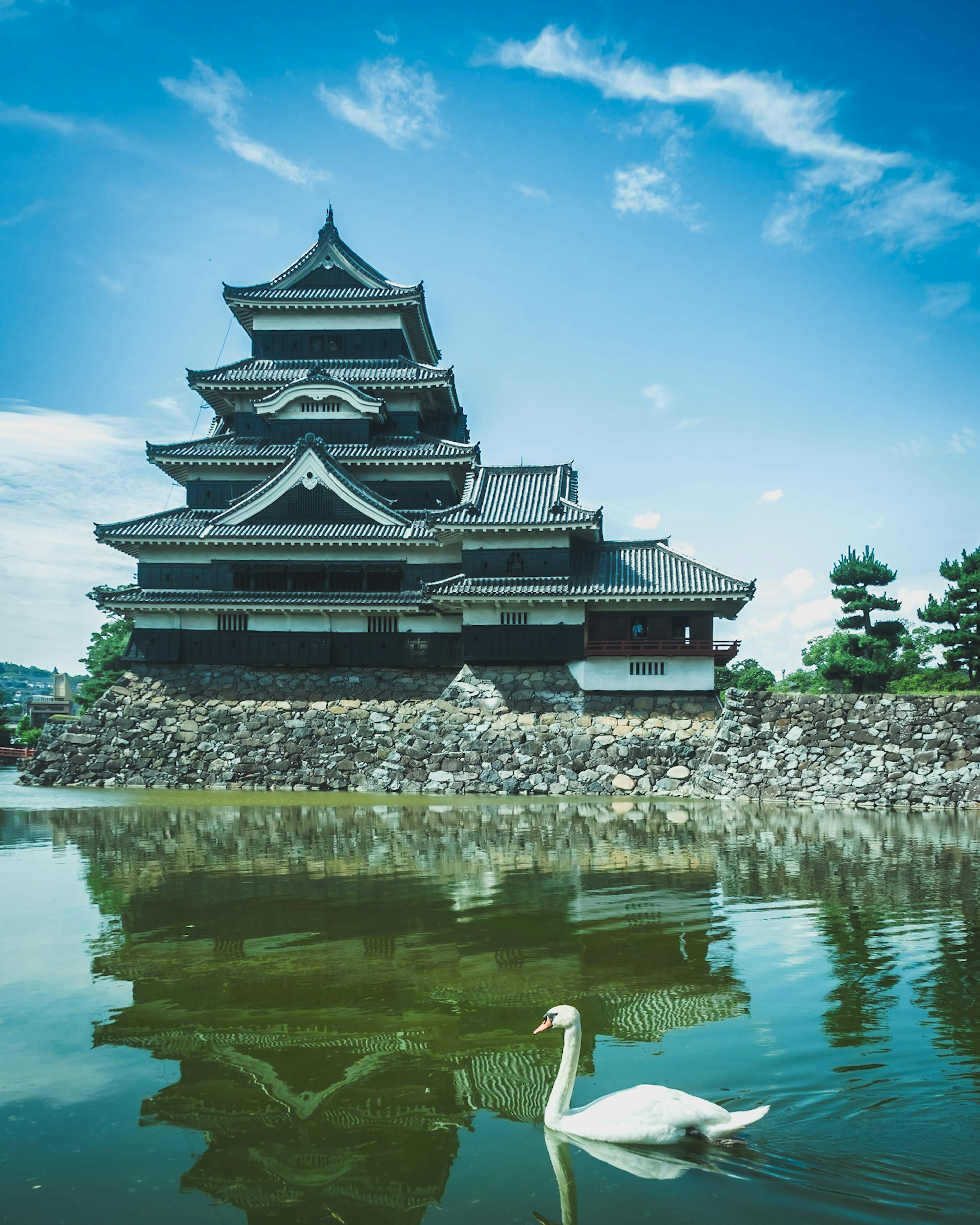 Castillo de Matsumoto con un cisne nadando en un lago sereno