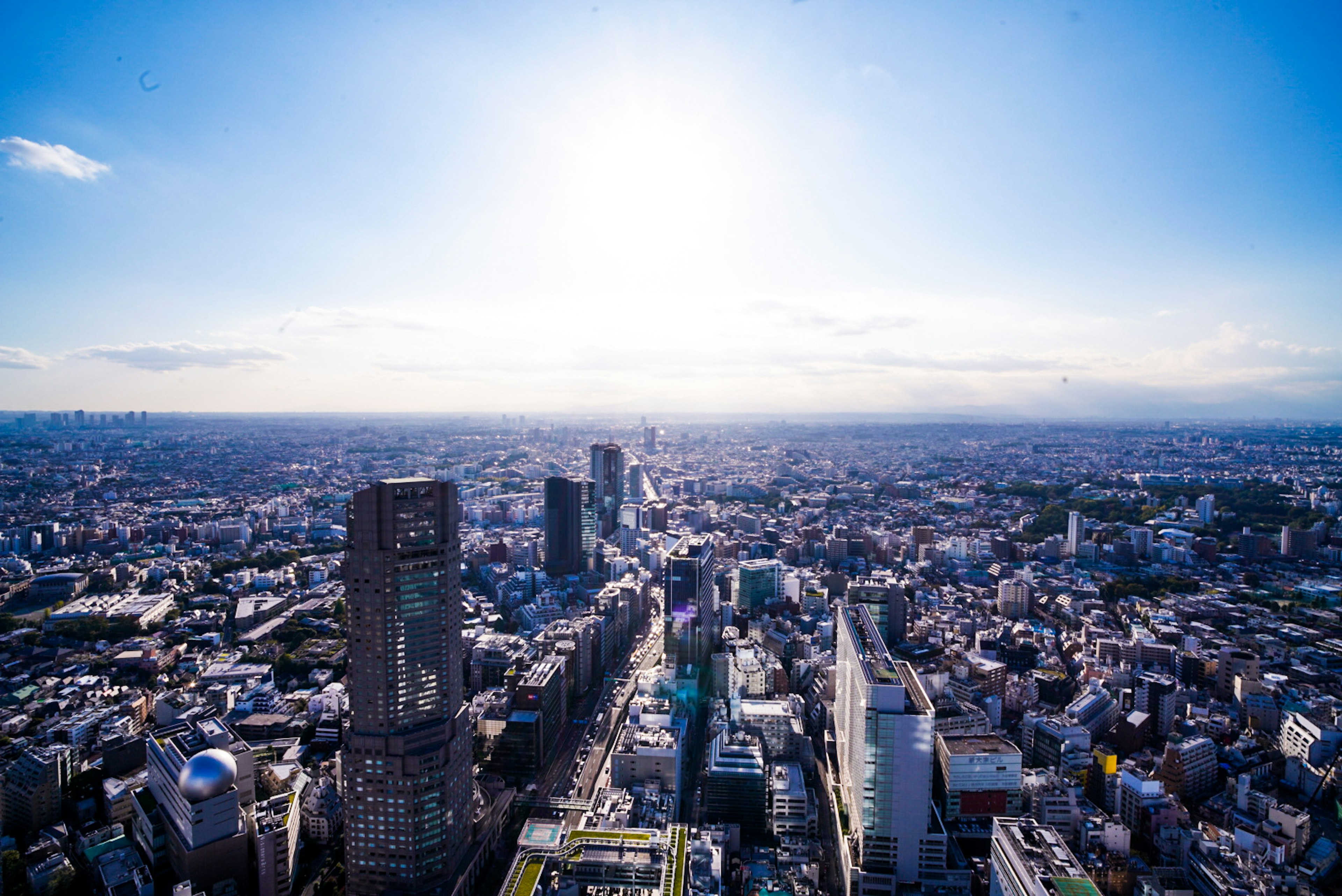 A panoramic view of Tokyo's skyline featuring skyscrapers and bright blue sky