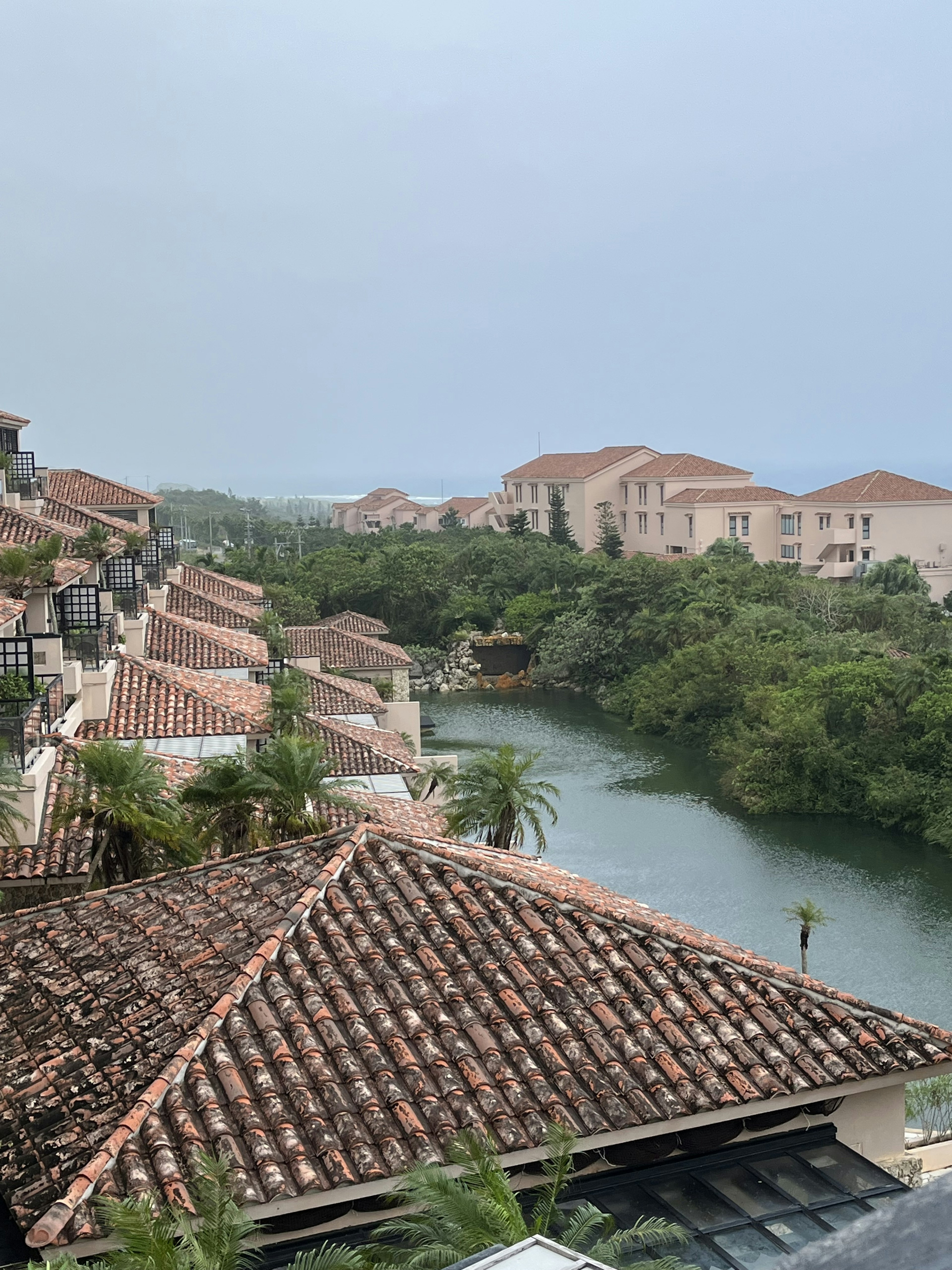 Scenic view of rooftops and river surrounded by greenery