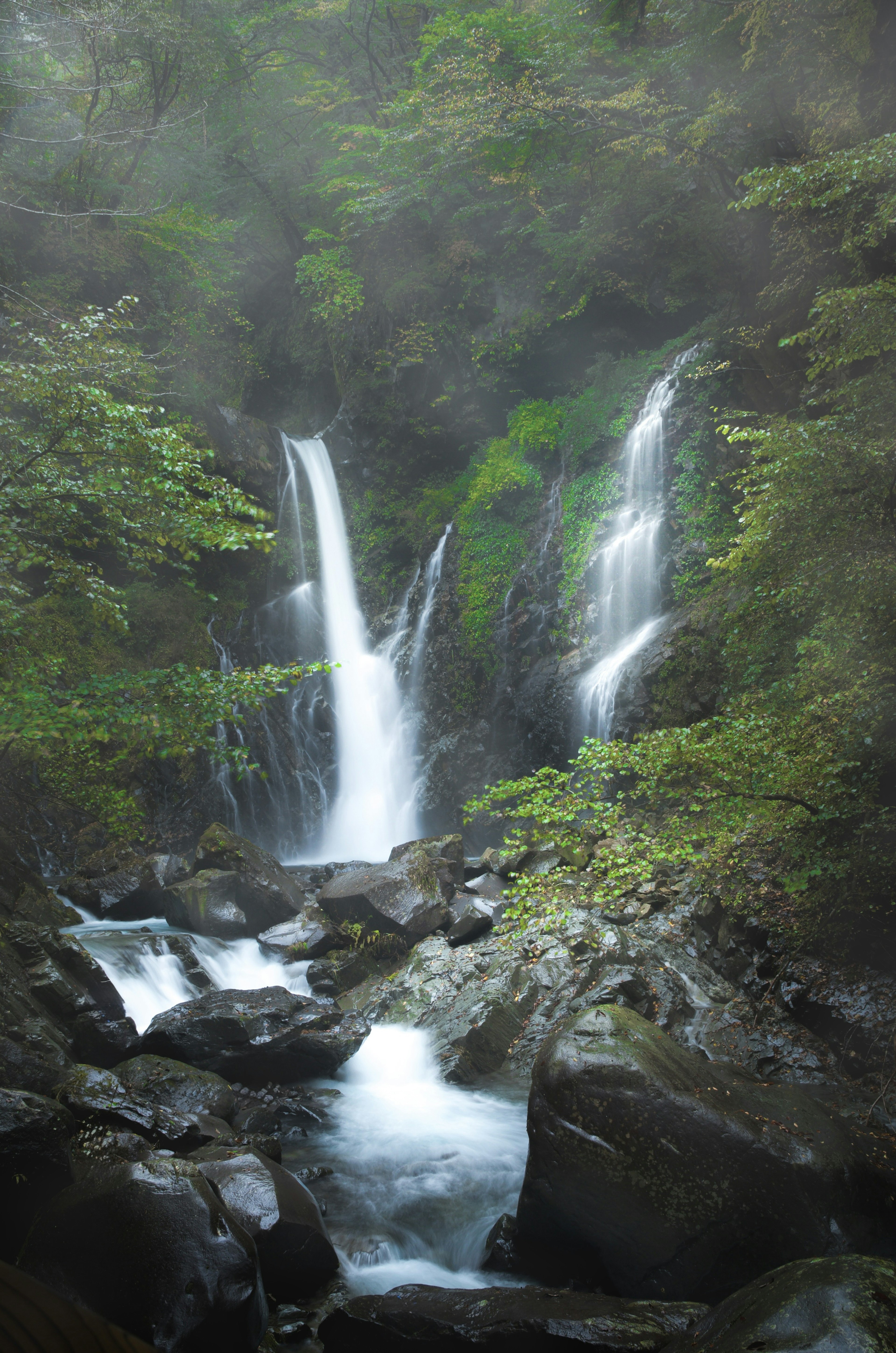 Vista escénica de una cascada rodeada de un bosque verde exuberante