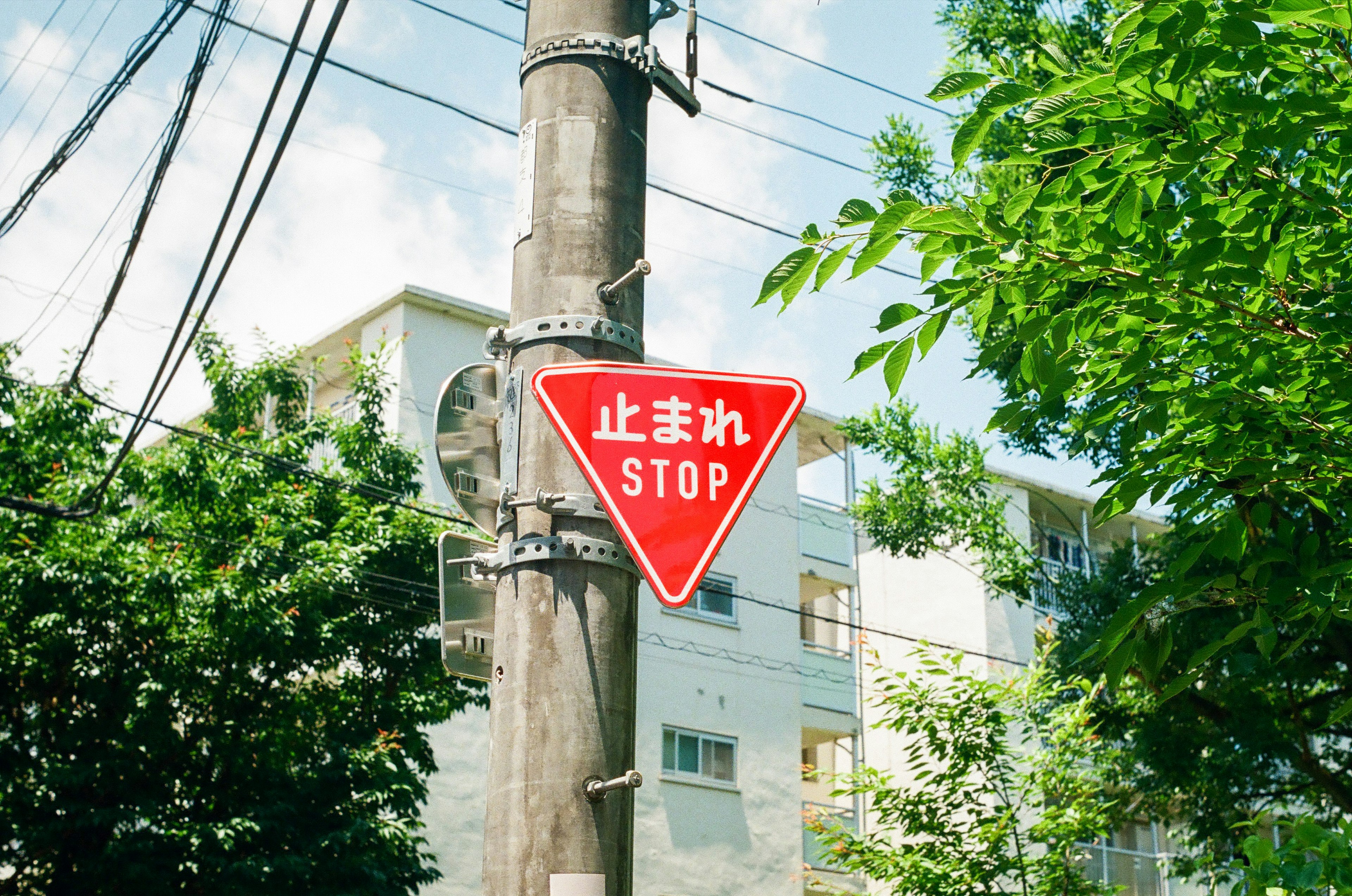 紅色停車標誌在電線杆上，周圍有綠色植物和建築物