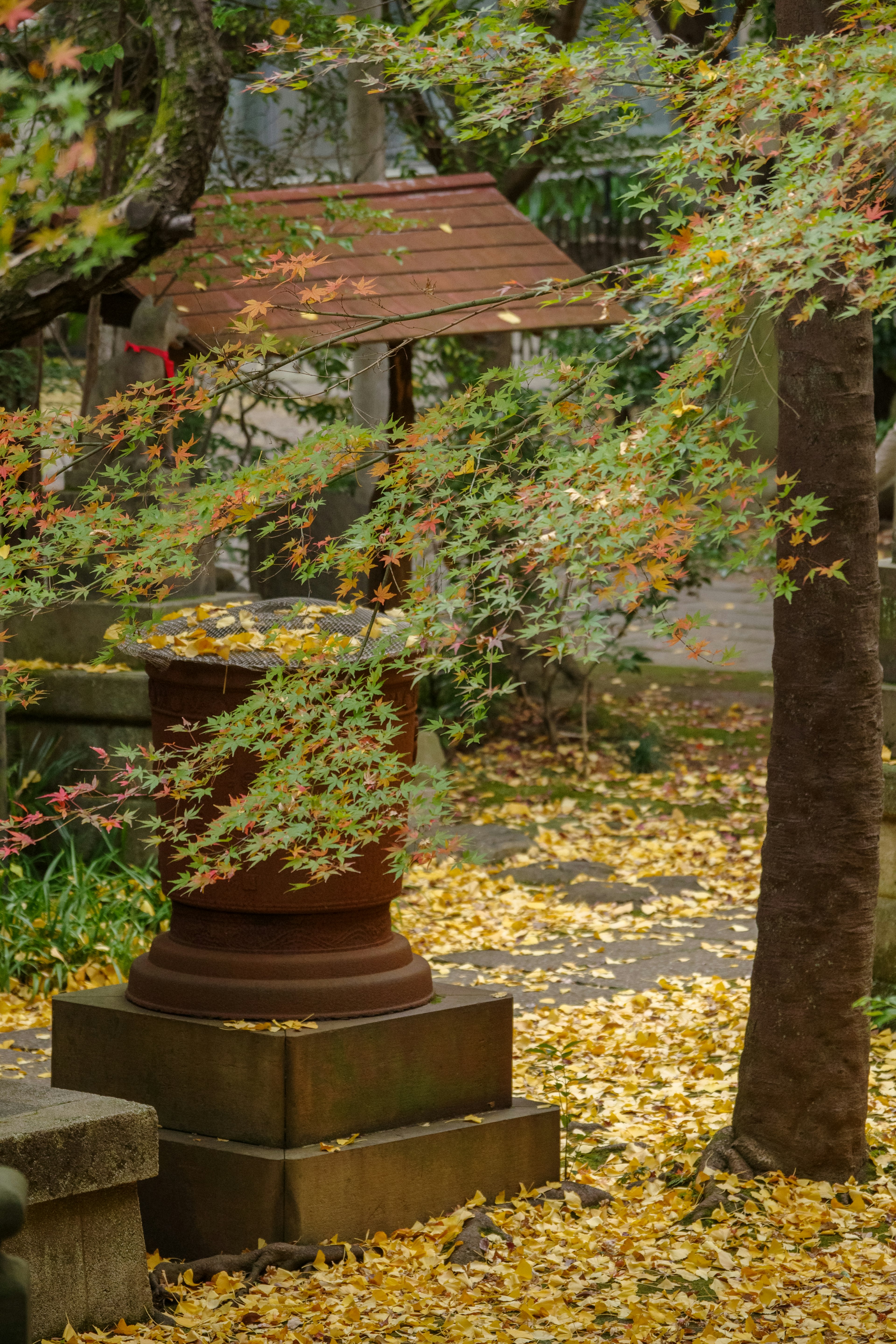 Un jardín con hojas de otoño esparcidas y una linterna con techo rojo rodeada de árboles