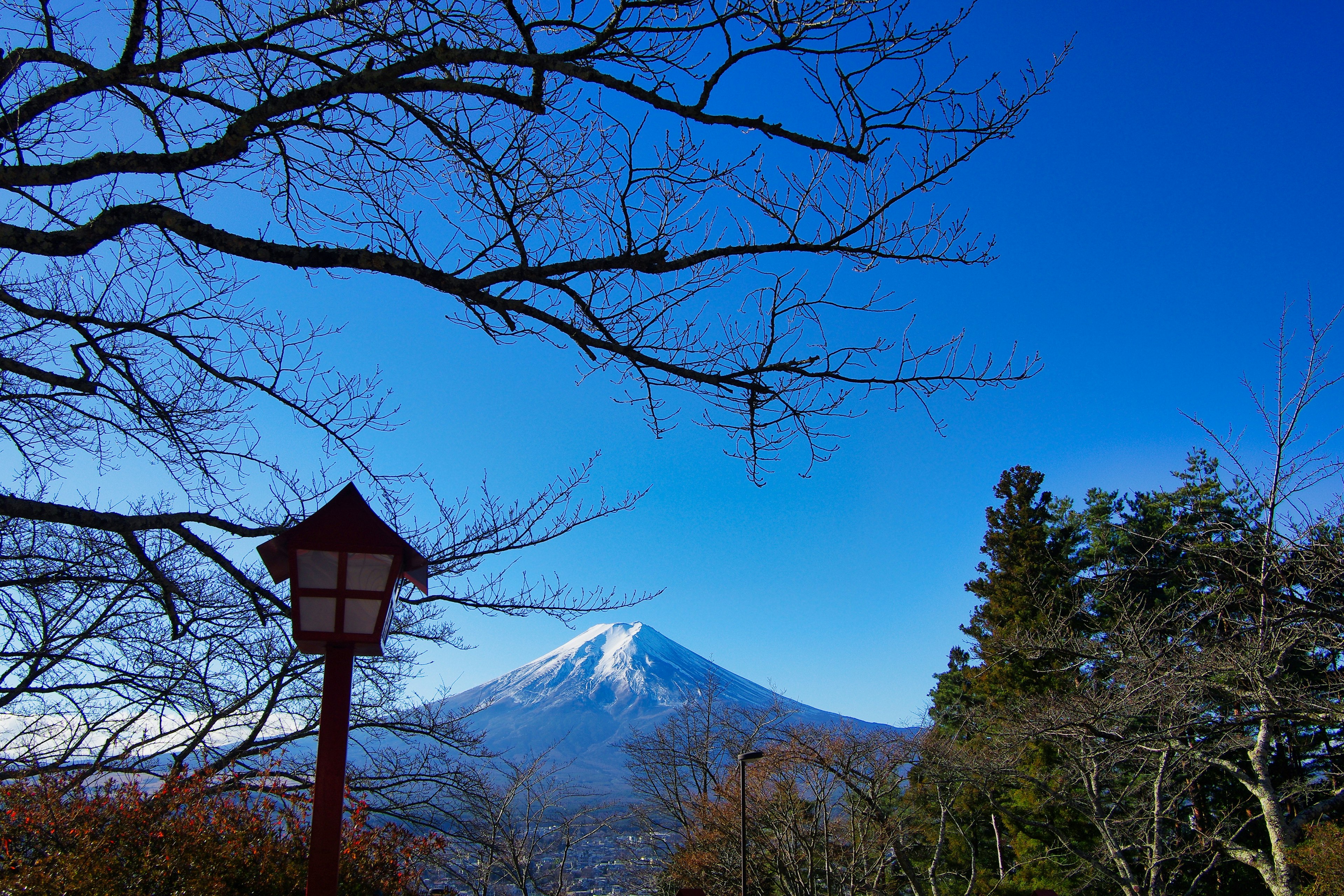 富士山在晴朗的藍天下高聳，前景有樹木和燈籠