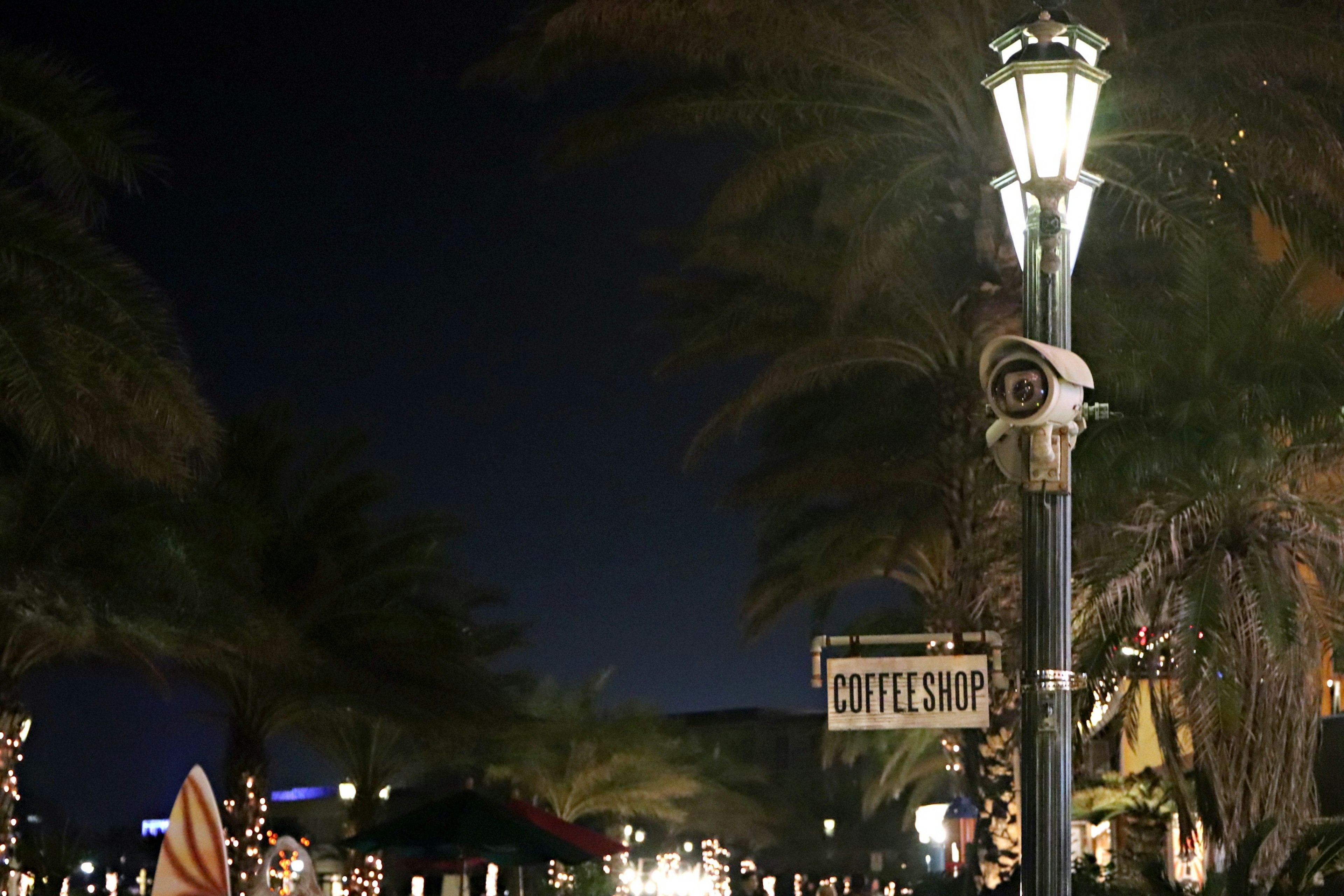 Lampione e palme di notte con un'insegna del caffè visibile