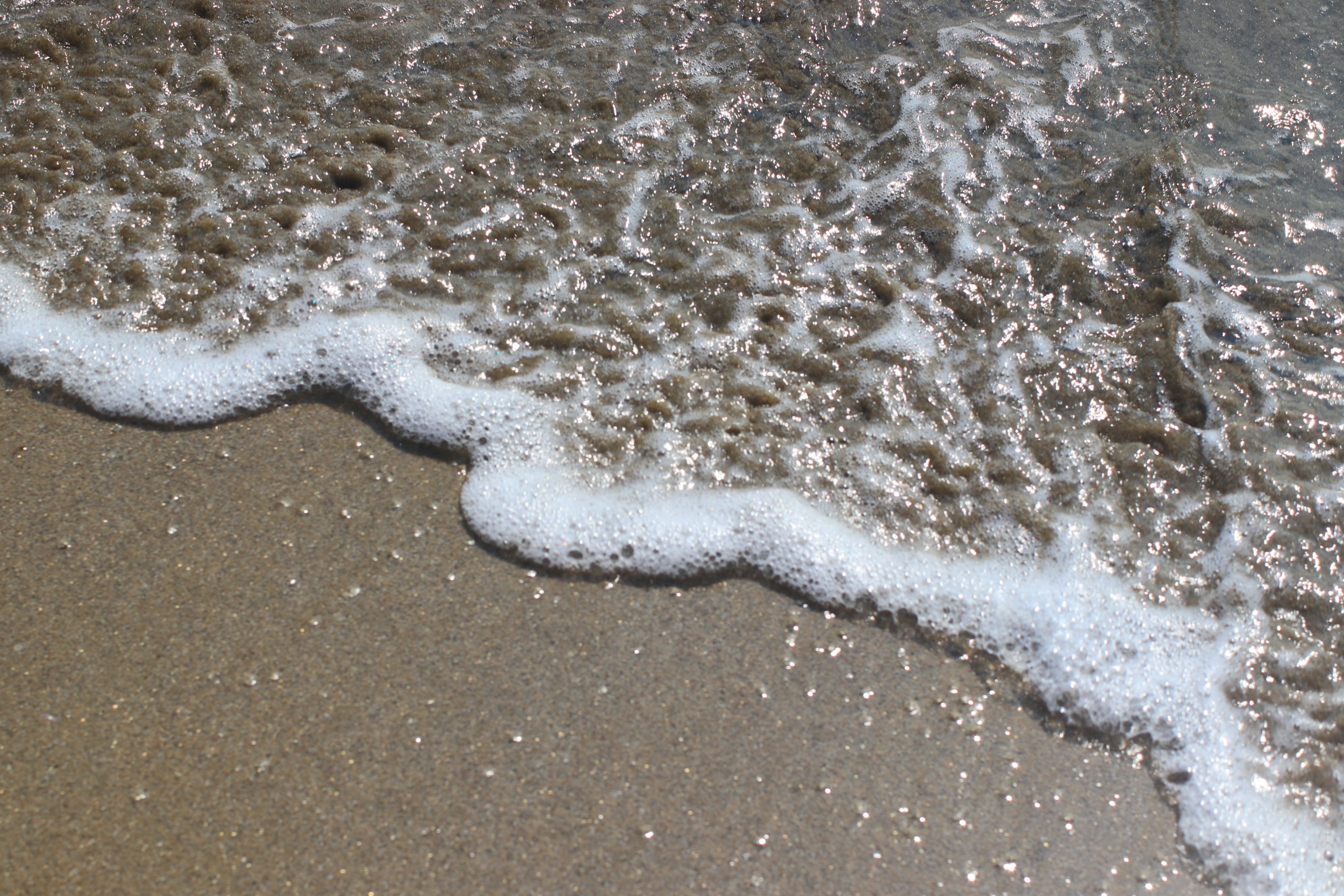 Image capturant l'interaction entre le sable et les vagues de l'océan