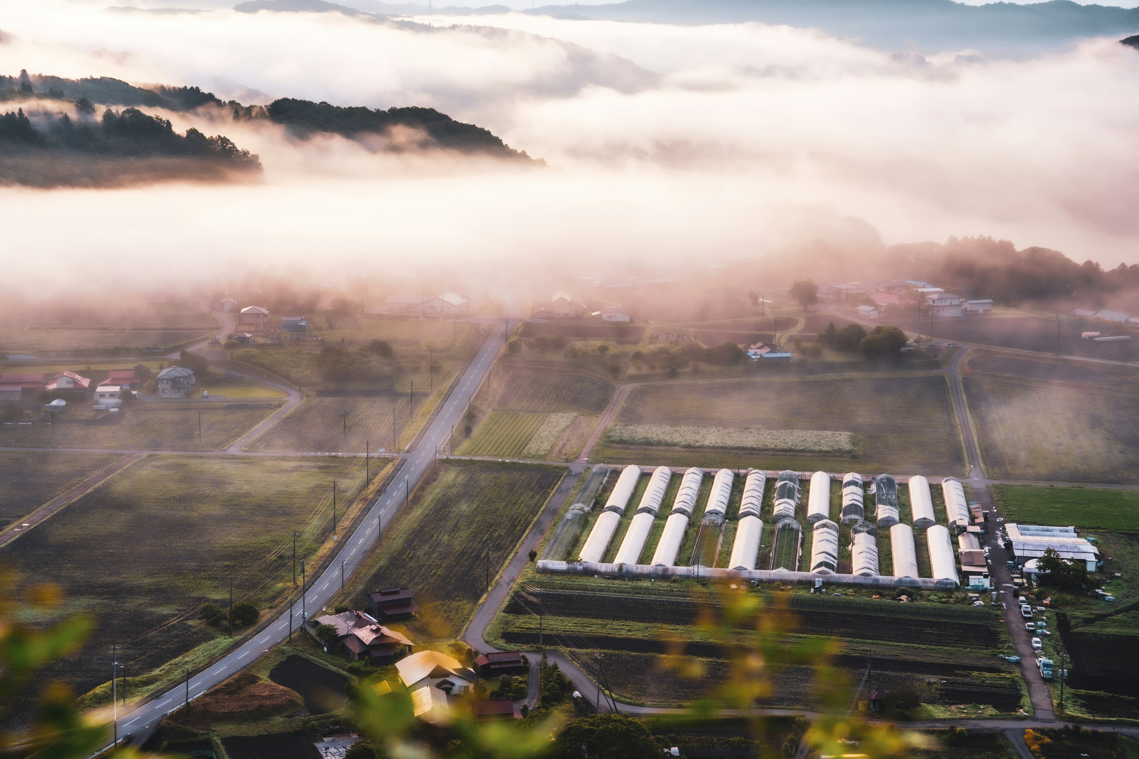 Pemandangan udara dari ladang yang diliputi kabut dikelilingi pegunungan