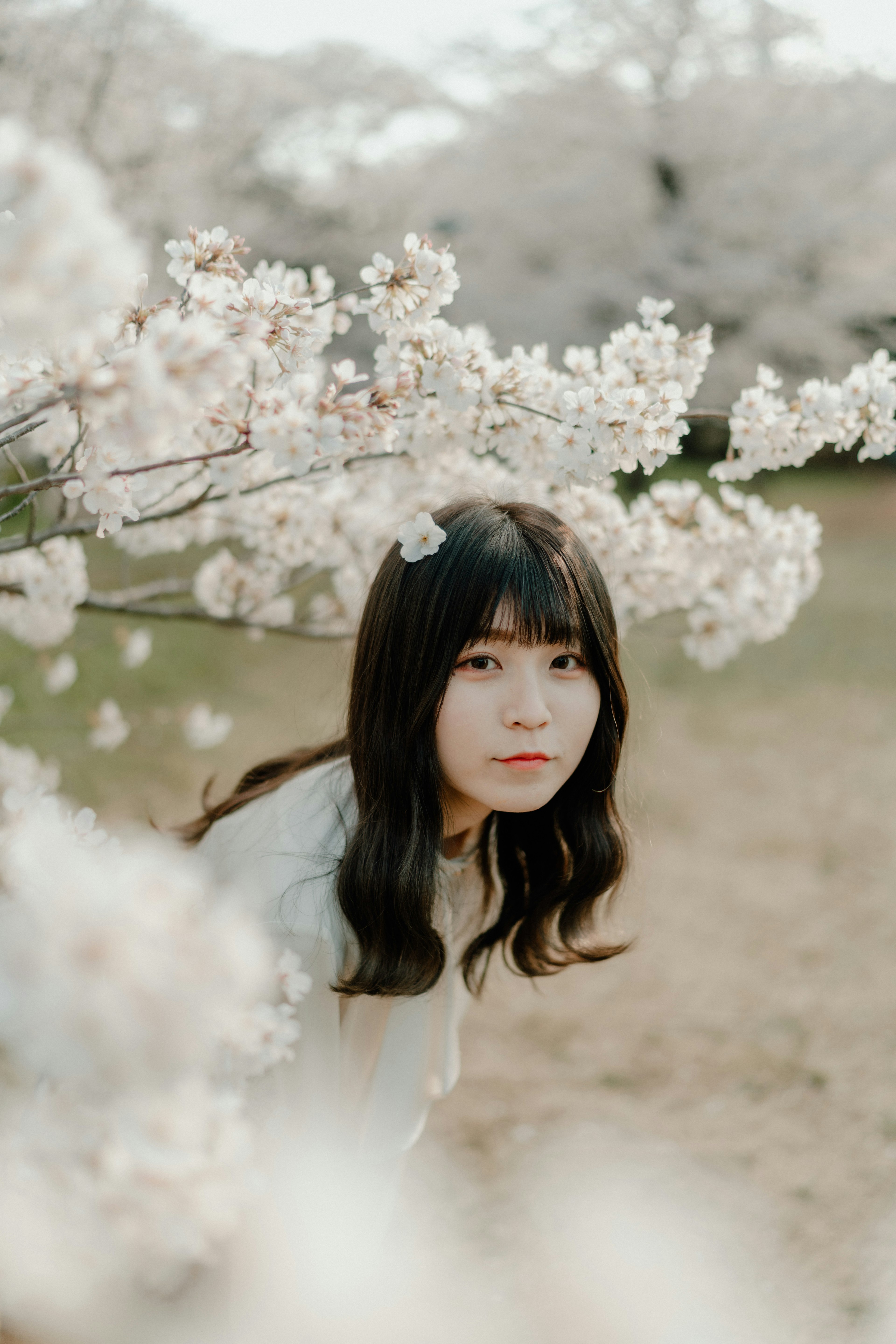 Portrait d'une femme souriante parmi des cerisiers en fleurs