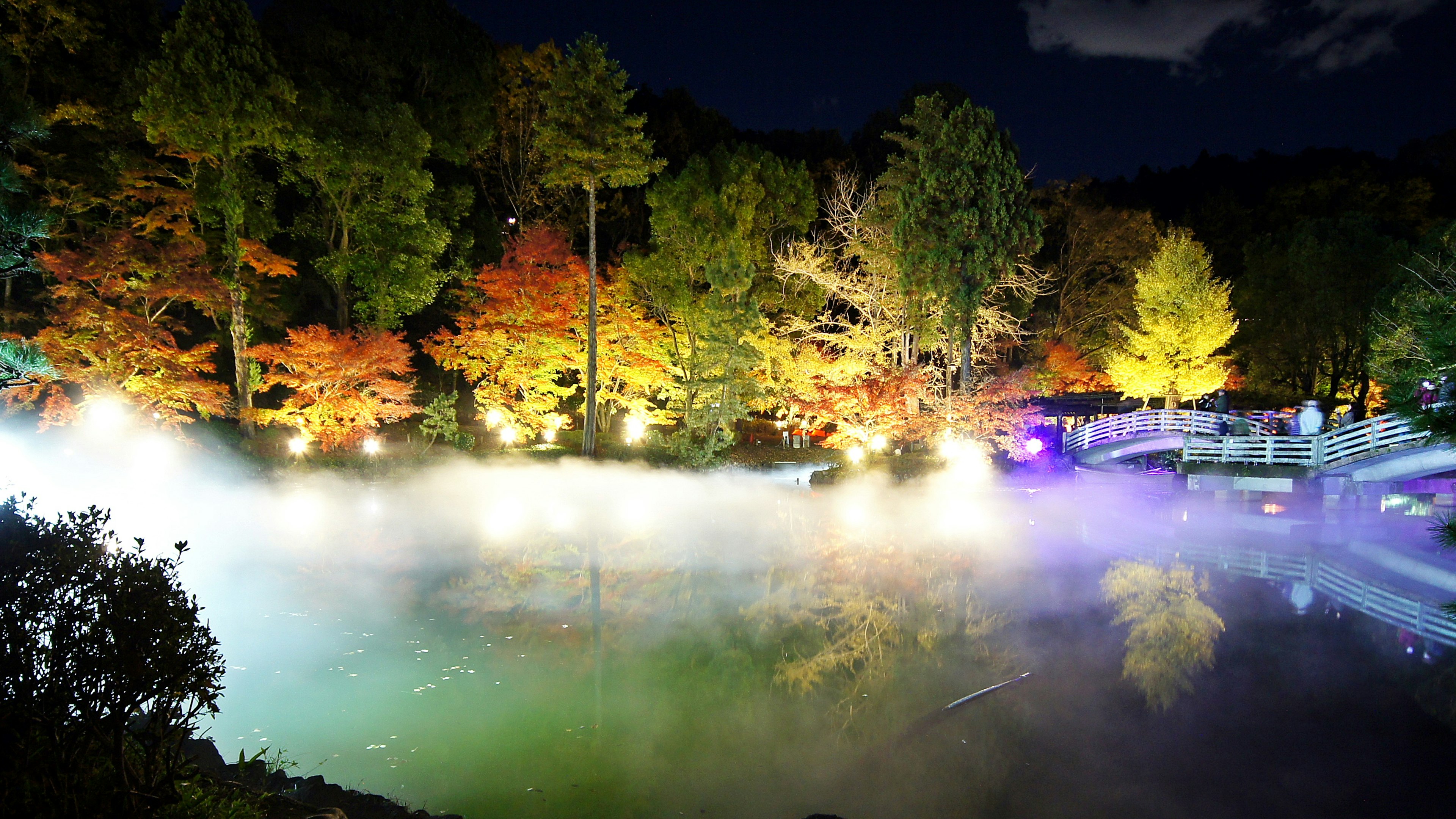 Beautiful night scene of a pond with colorful trees