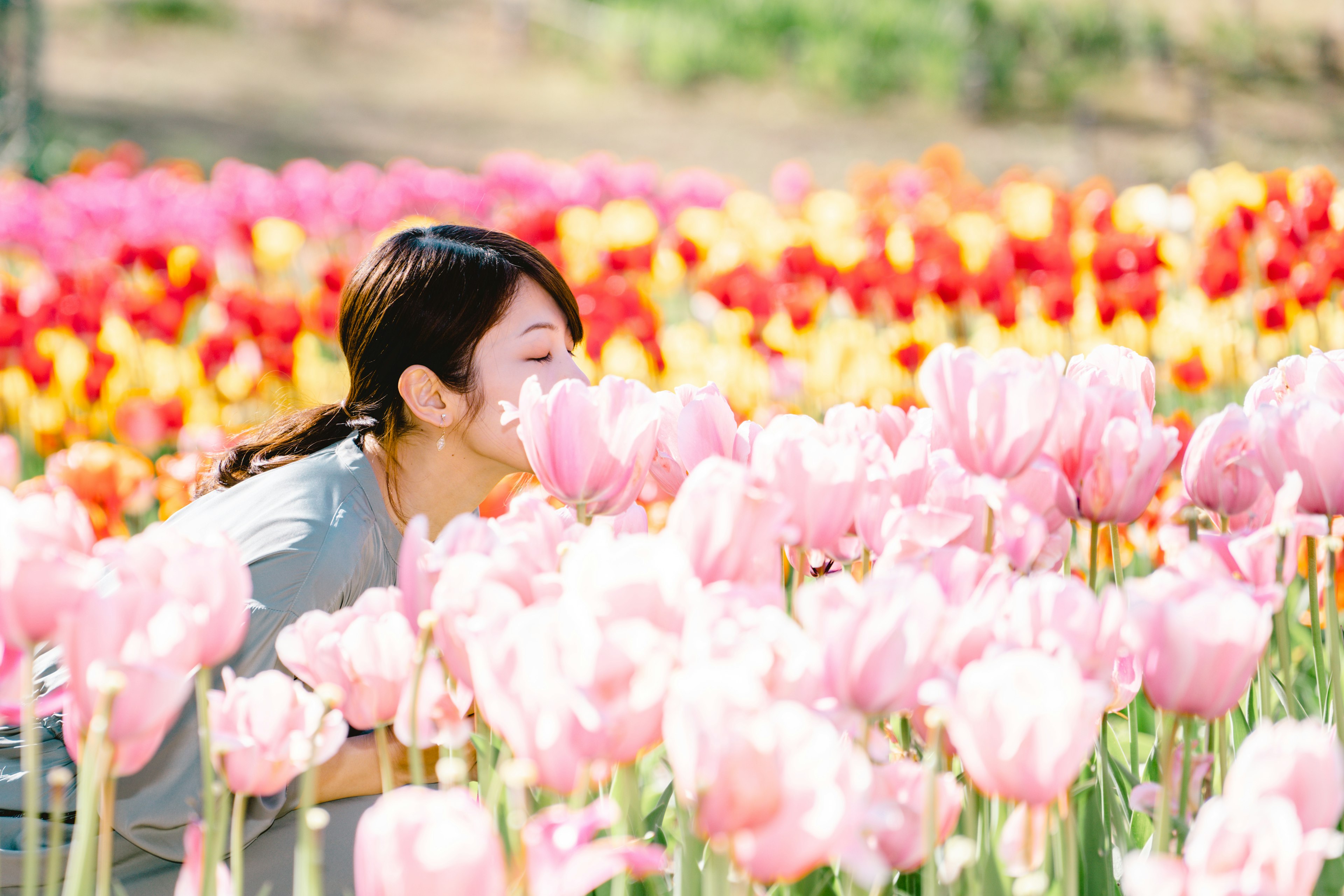 Một người phụ nữ ngửi hoa tulip hồng giữa một cánh đồng hoa đầy màu sắc