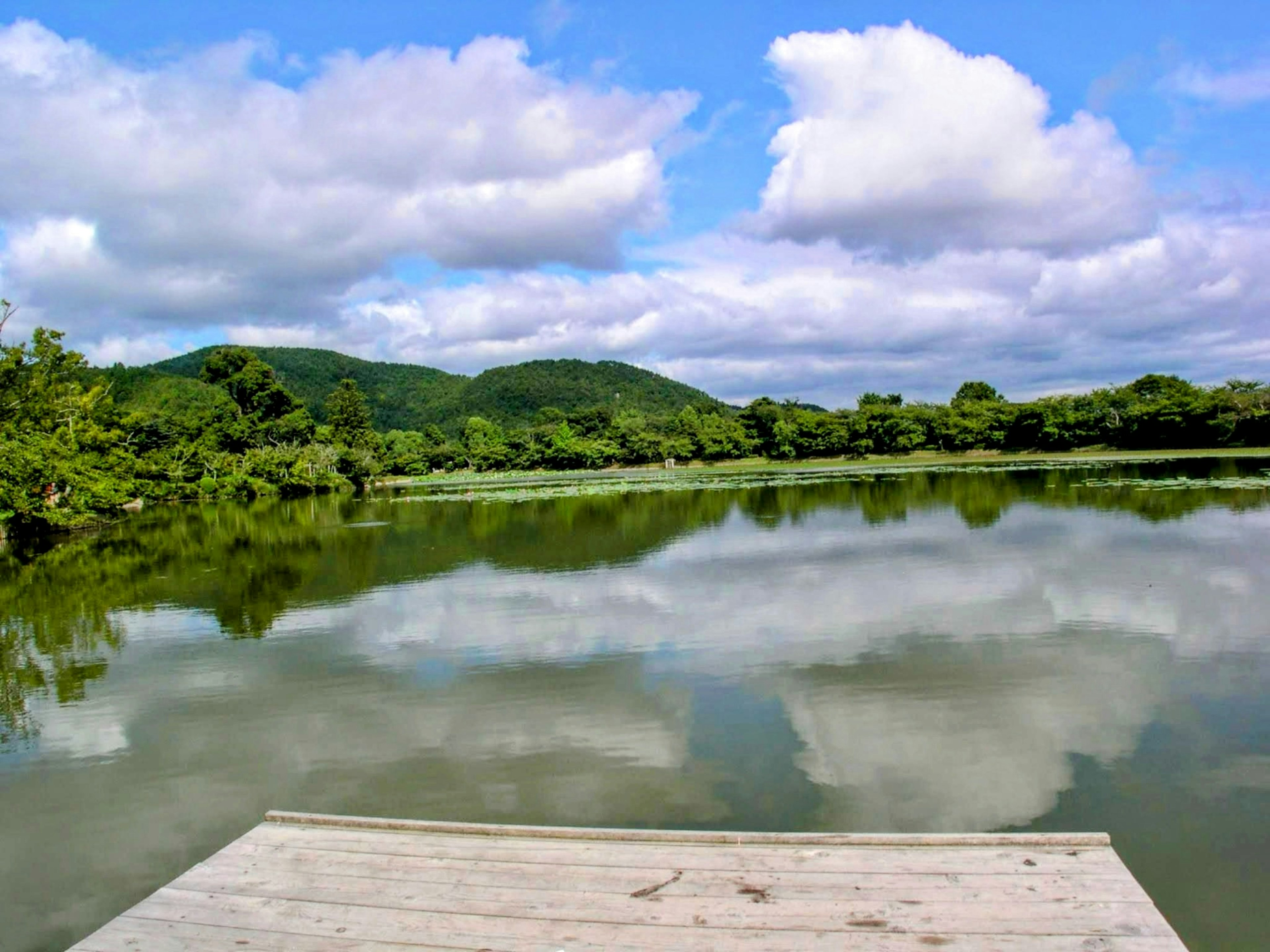 Vista escénica de un lago tranquilo reflejando nubes y vegetación desde un muelle de madera