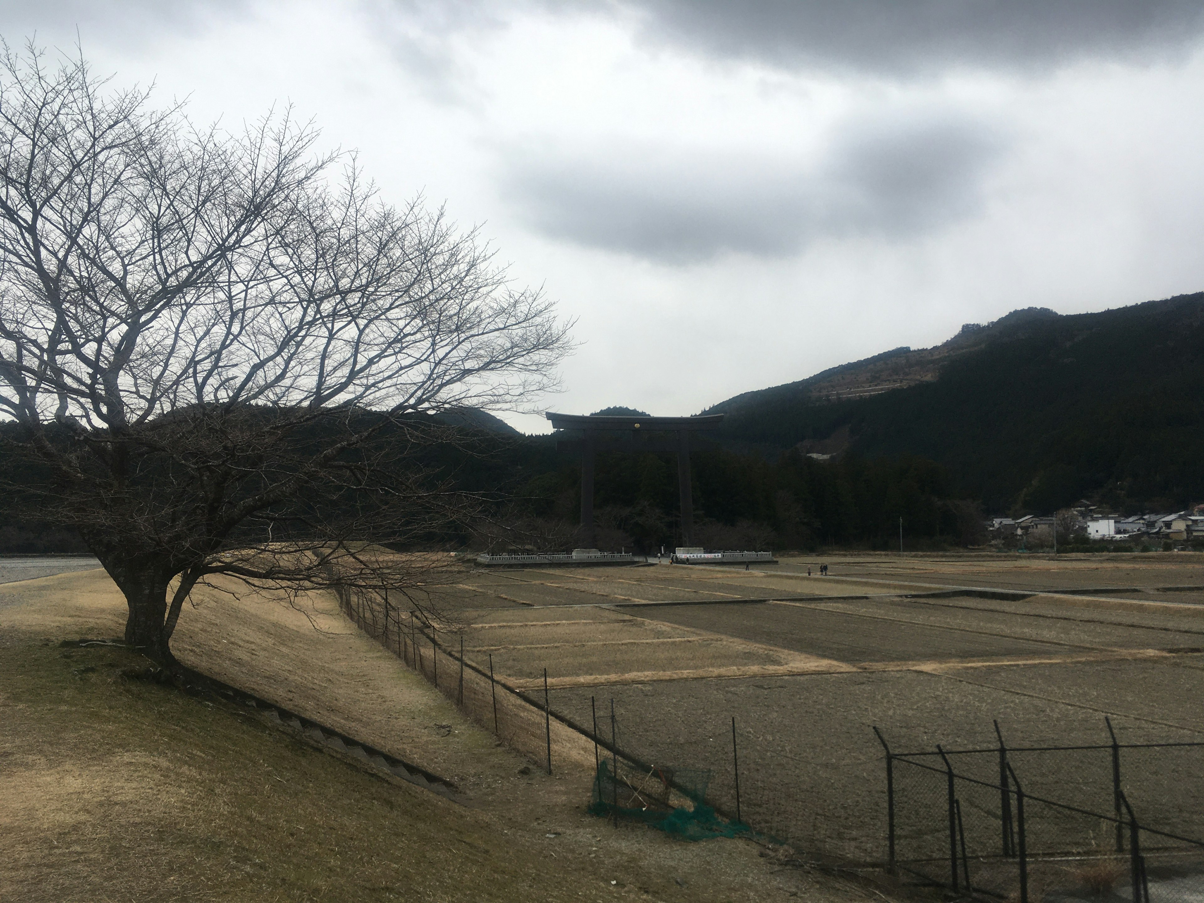 山々と曇り空の下に広がる空き地と枯れた木